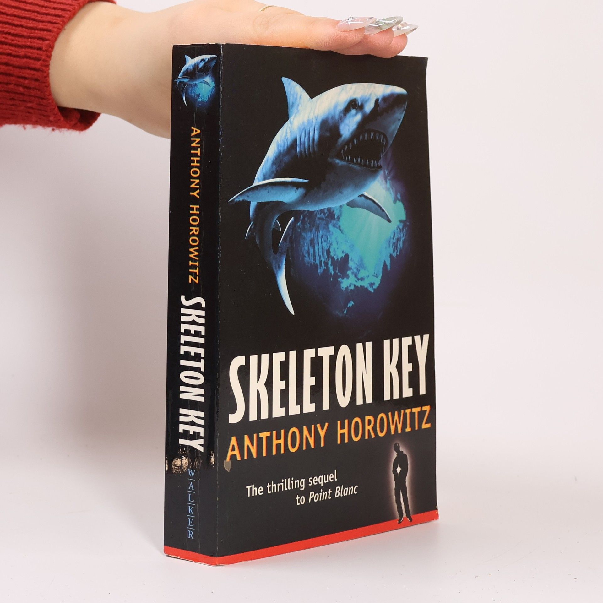 Anthony Horowitz Skeleton key