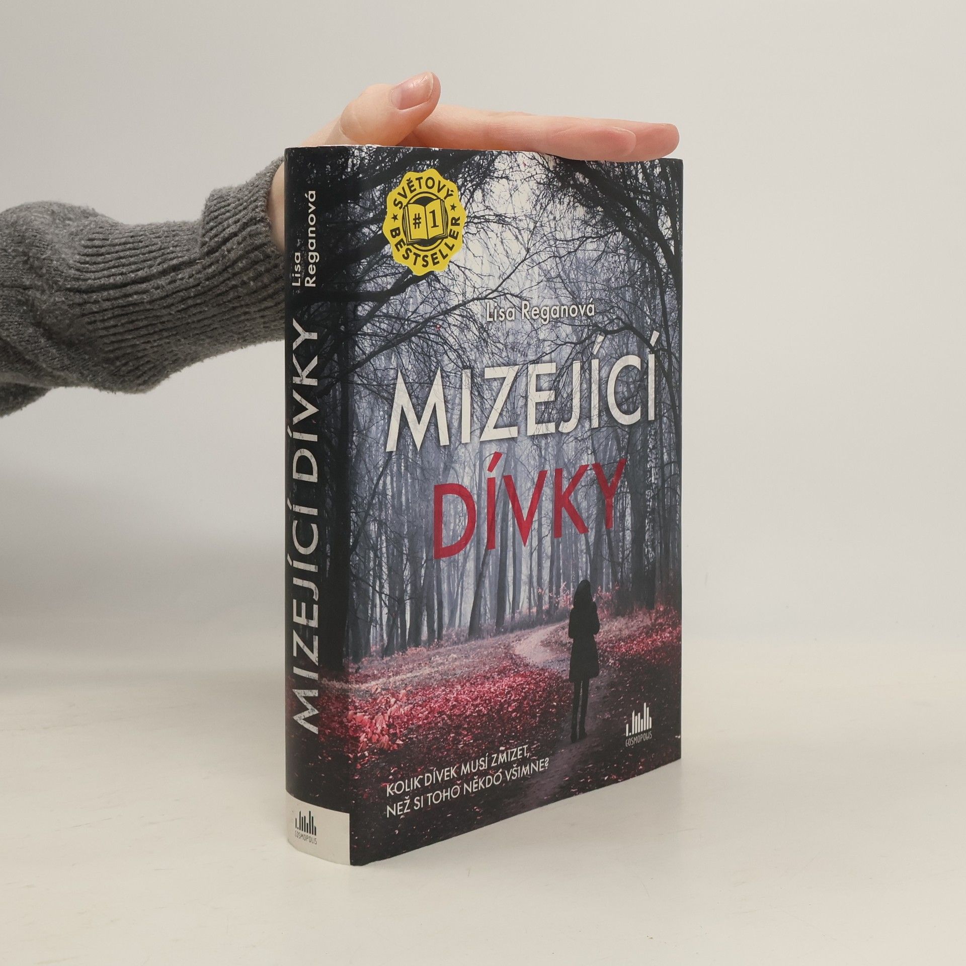 Lisa Regan Mizející dívky