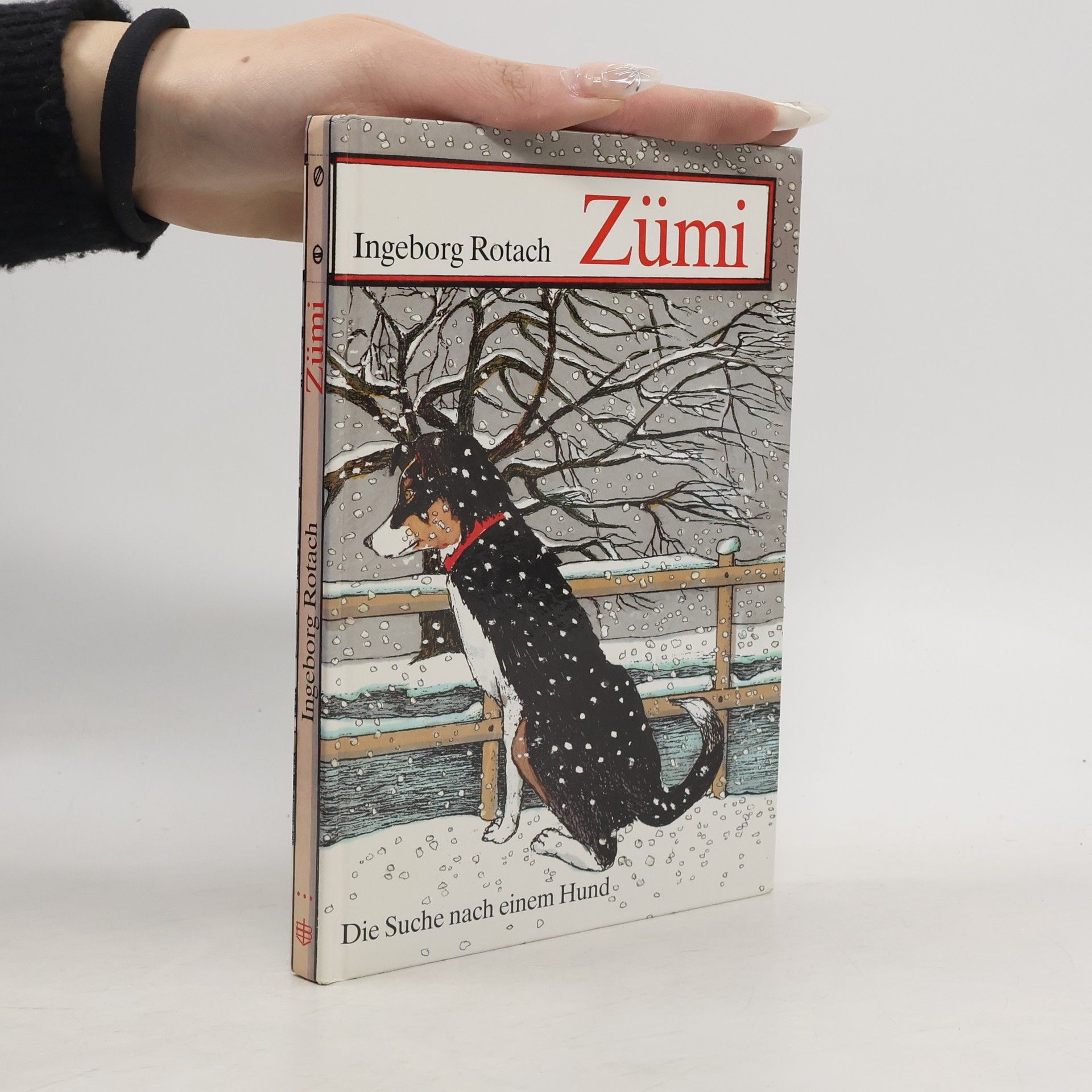 Zümi. Die Suche nach einem Hund