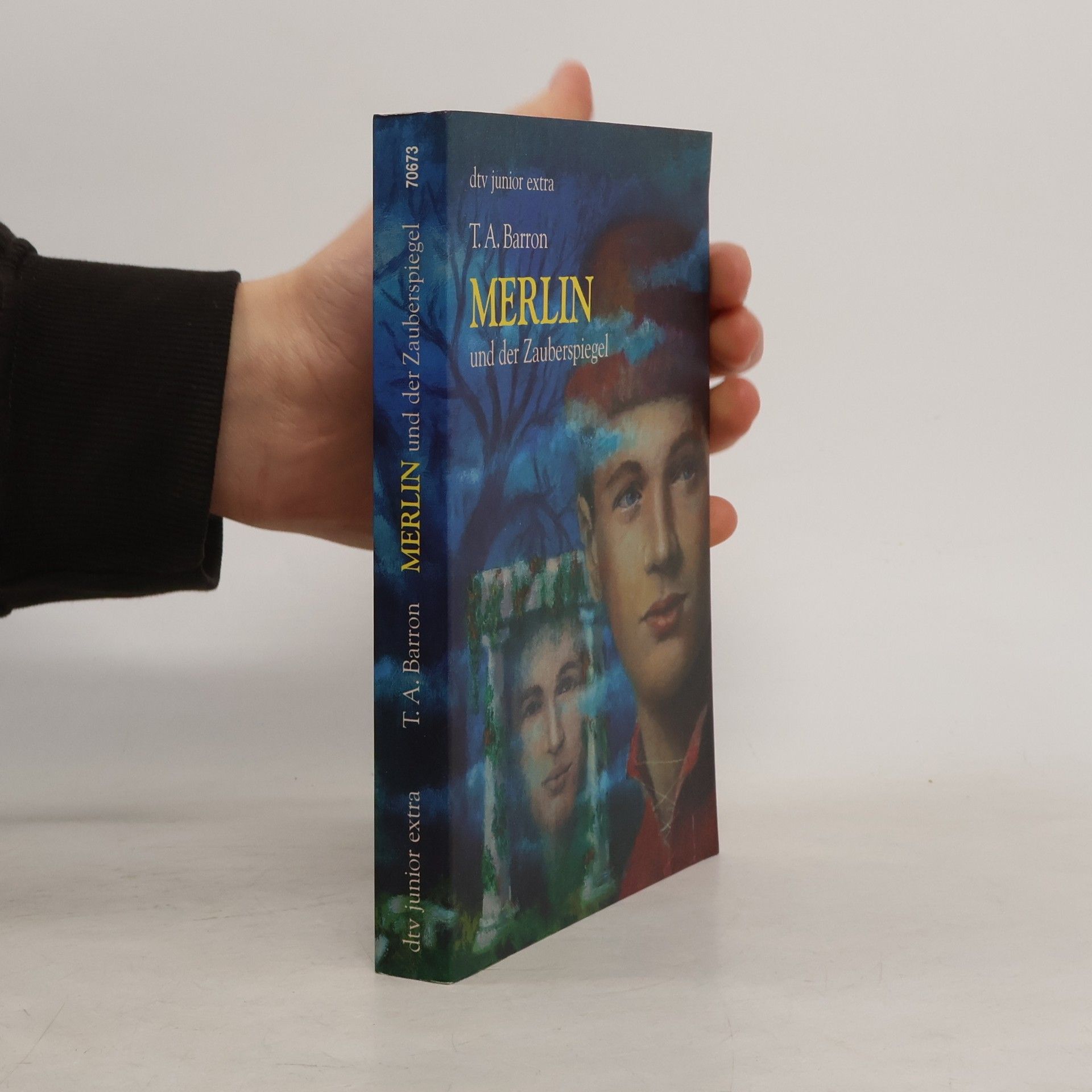 T. A. Barron Merlin und der Zauberspiegel