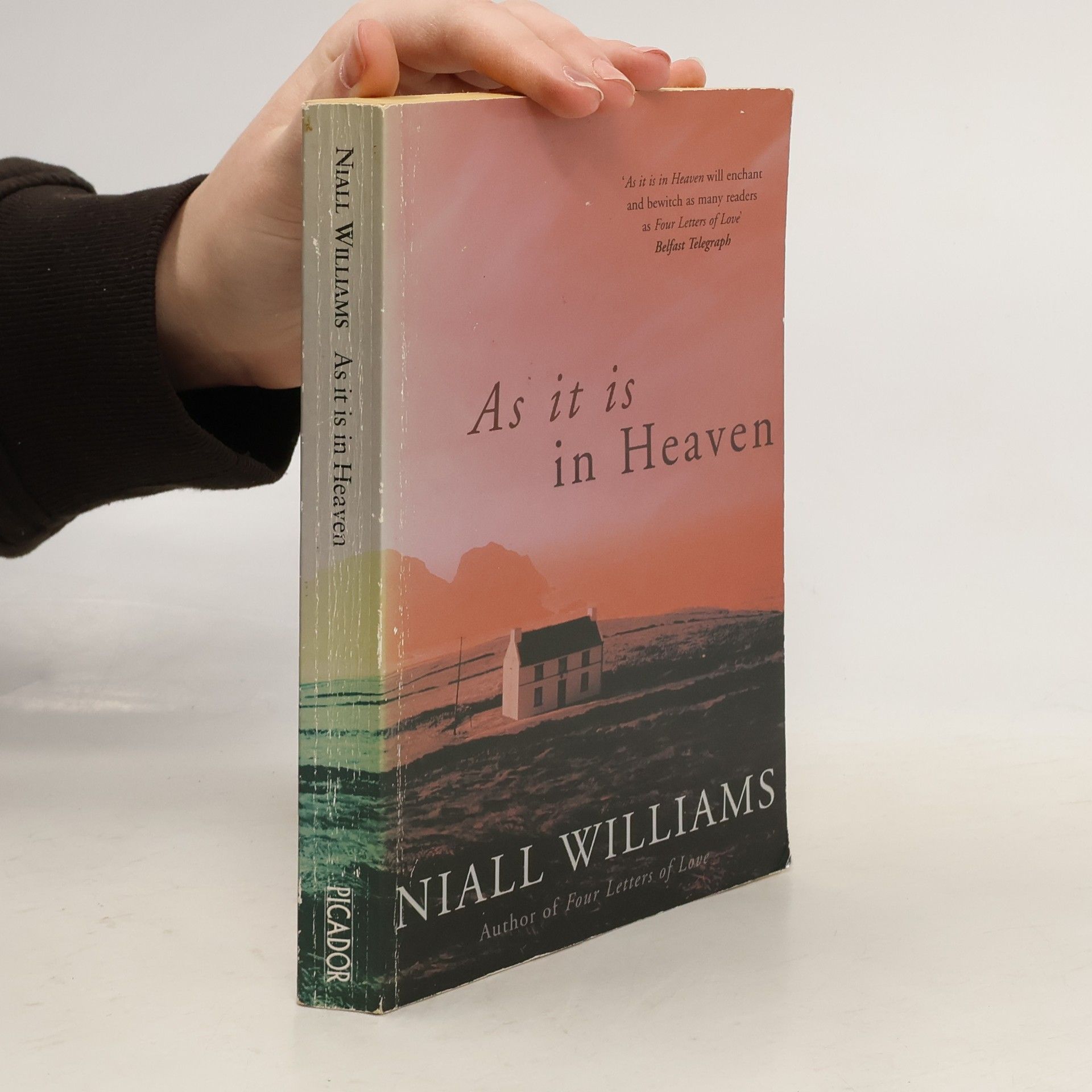 Niall Williams As It Is in Heaven