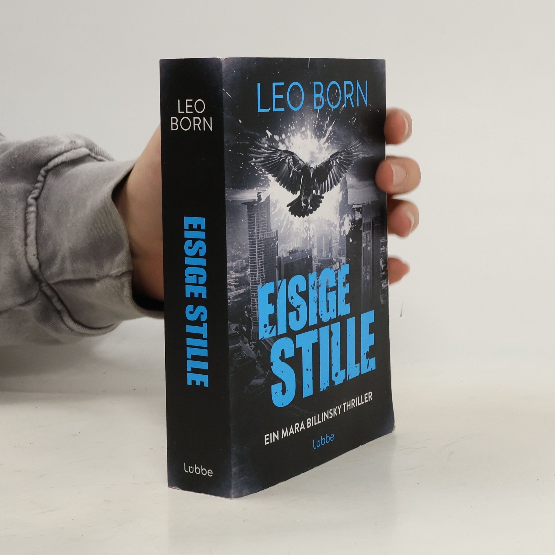 Leo Born Eisige Stille. Ein Mara-Billinsky-Thriller