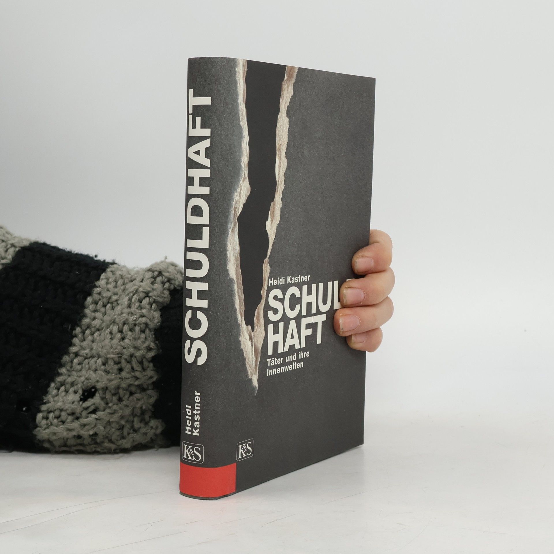 Heidi Kastner Schuldhaft