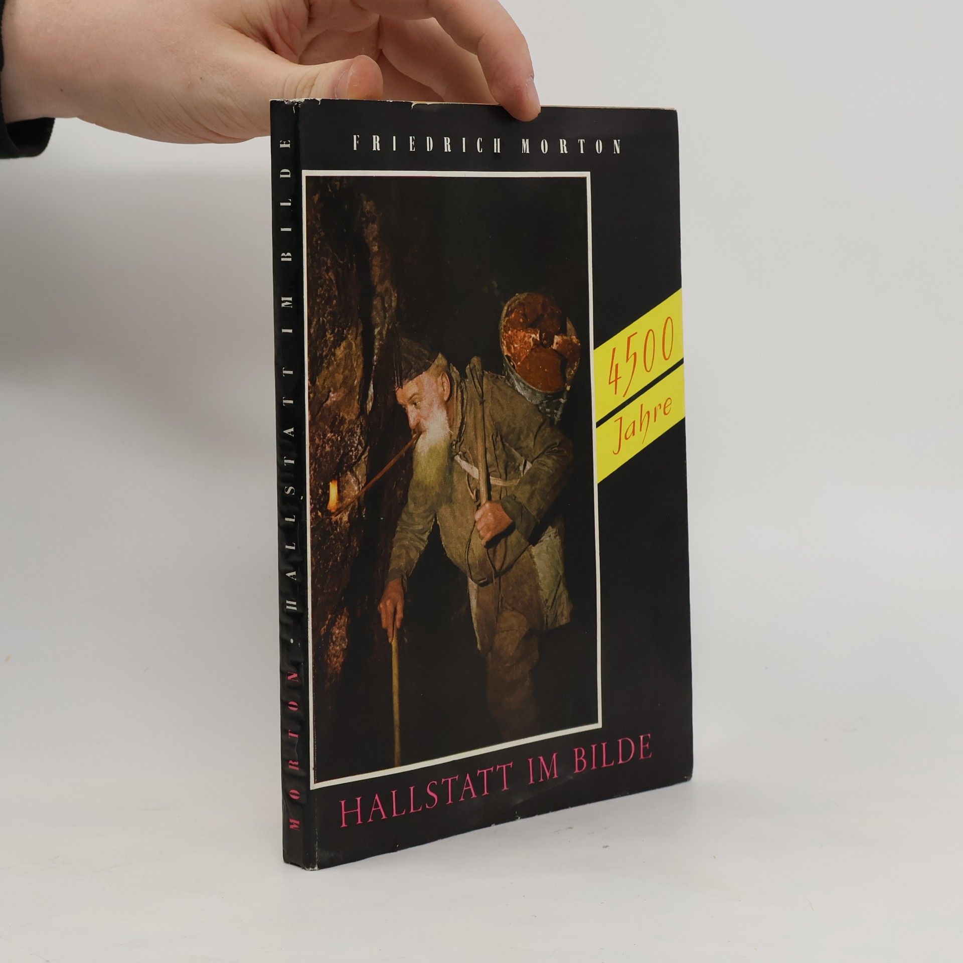 Friedrich Morton Viertausendfünfhundert Jahre Hallstatt im Bilde