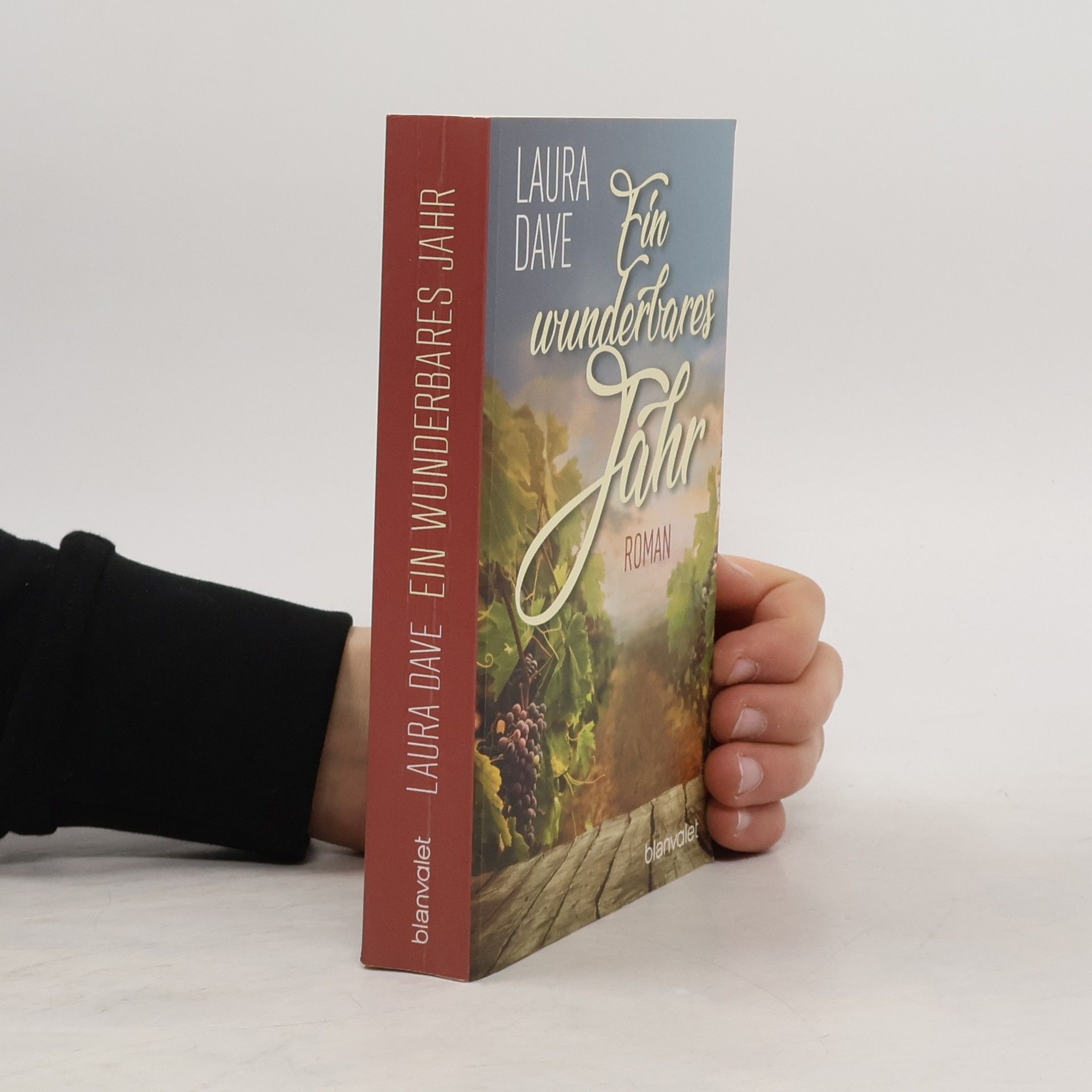 Laura Dave Ein wunderbares Jahr