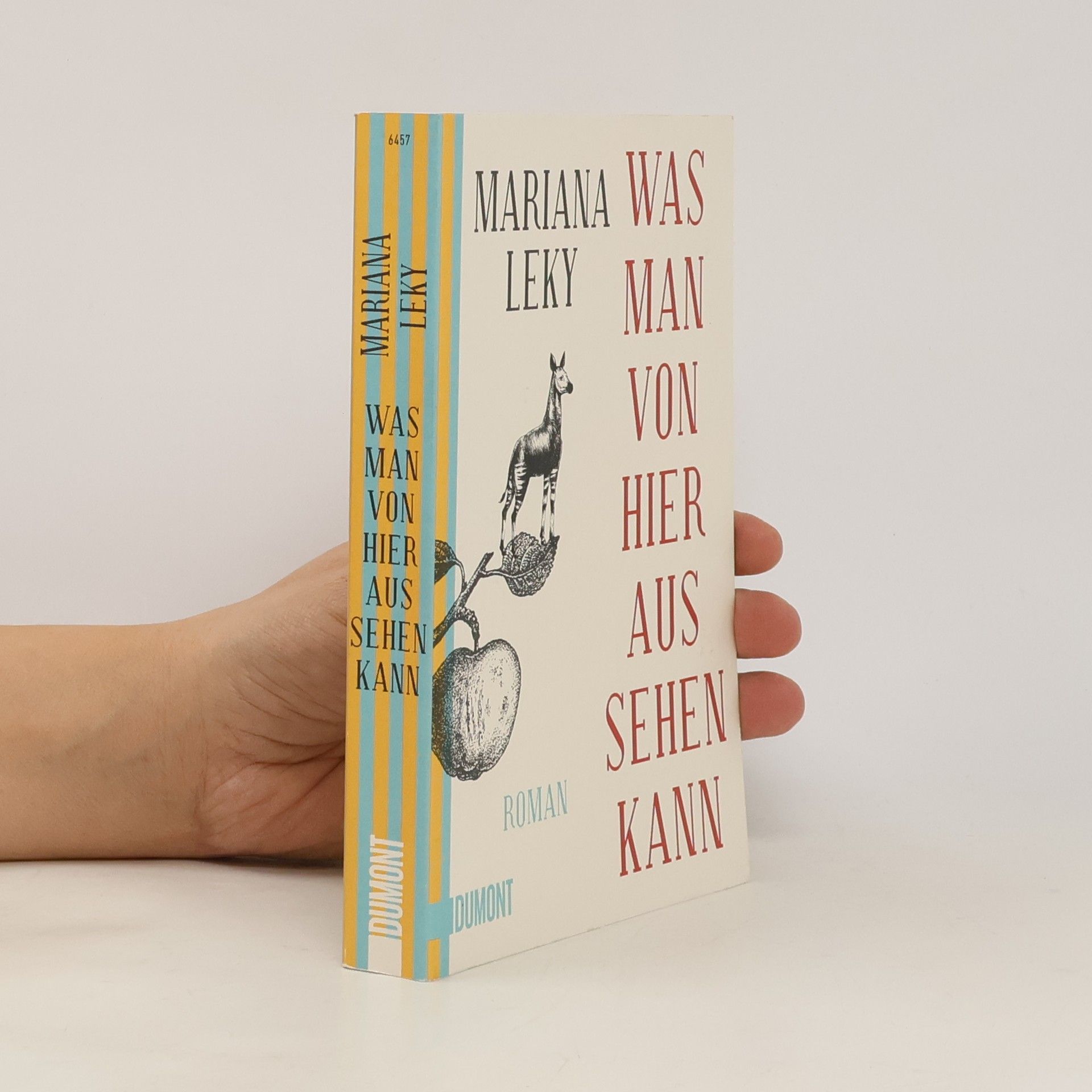 Mariana Leky Was man von hier aus sehen kann