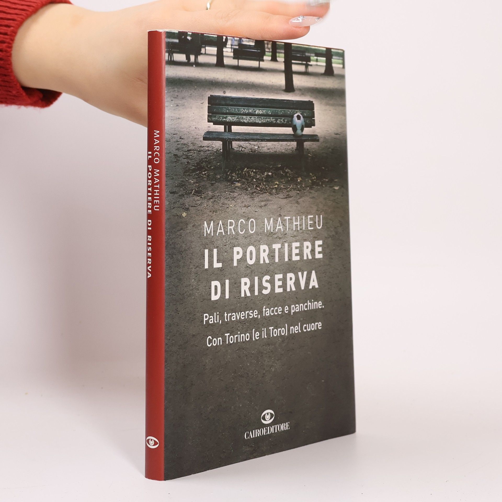 Marco Mathieu Storie: Il portiere di riserva