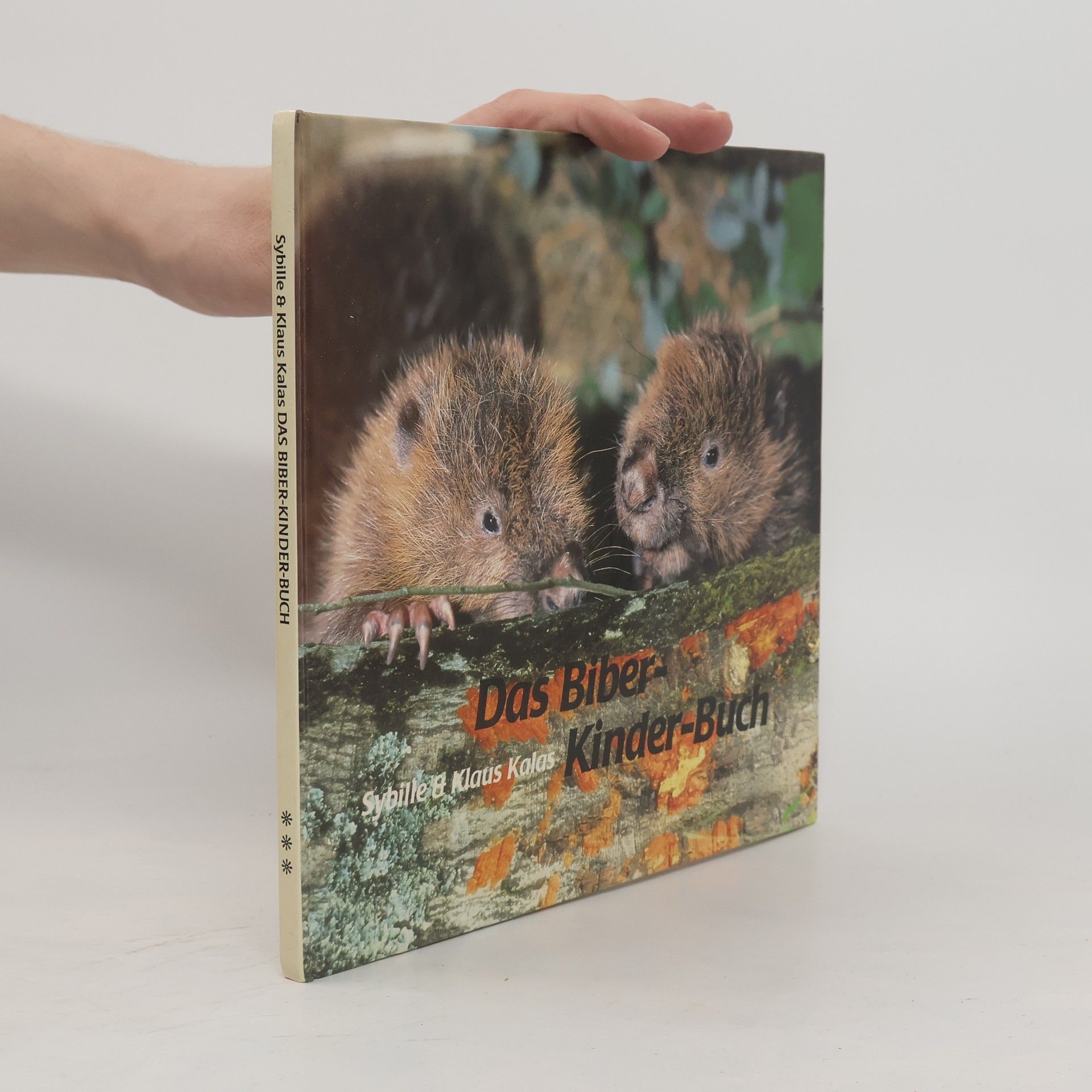 Sybille Kalas Das Biber-Kinder-Buch