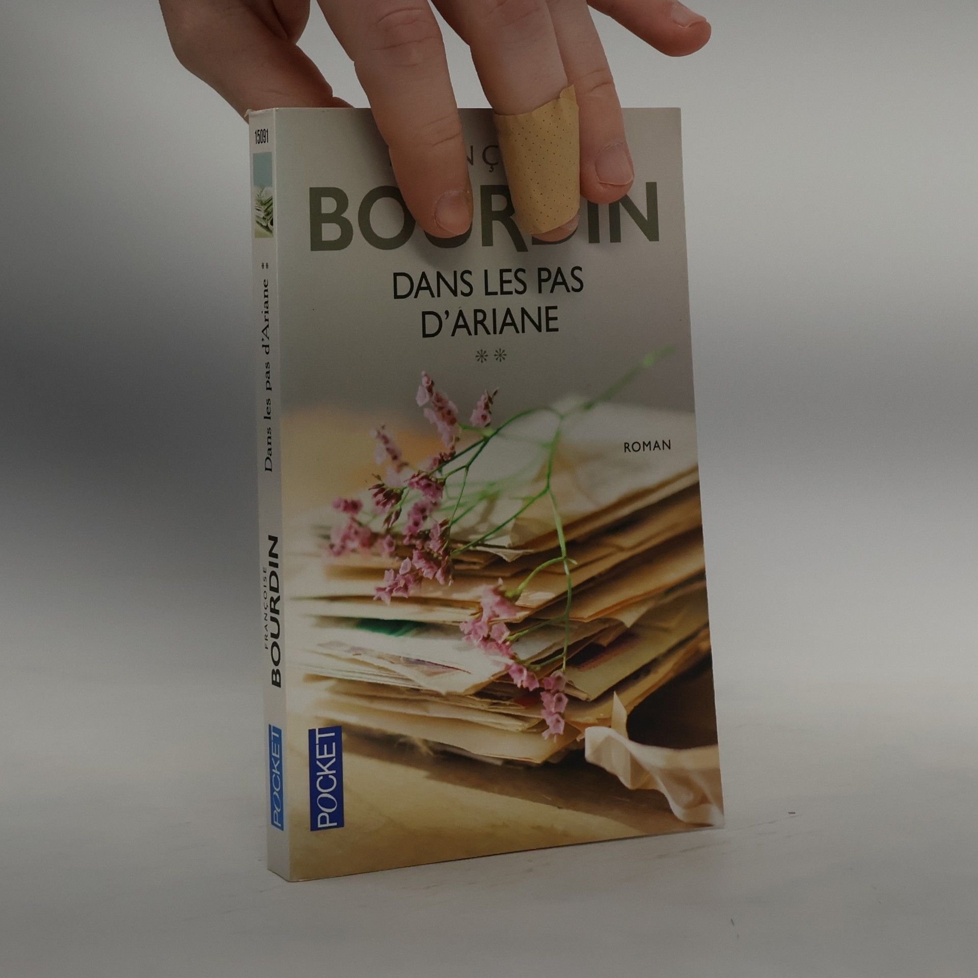 Françoise Bourdin Dans les pas d'Ariane