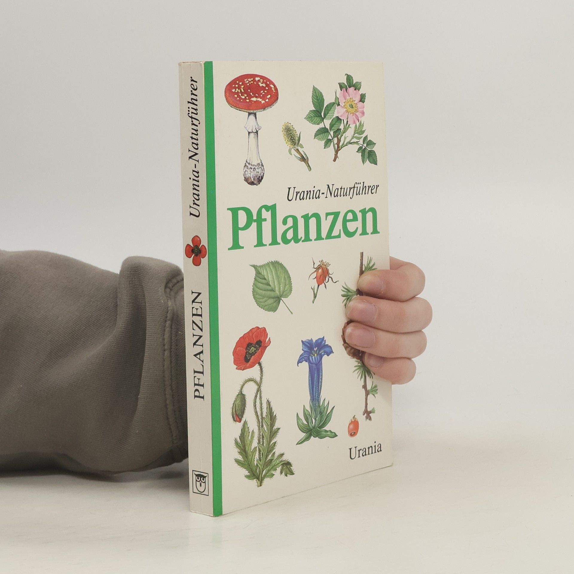 Urania-Naturführer Pflanzen