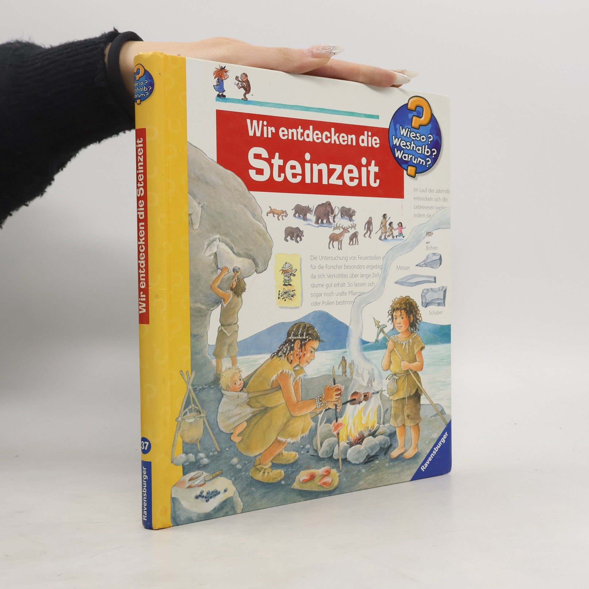Doris Rübel Wir entdecken die Steinzeit