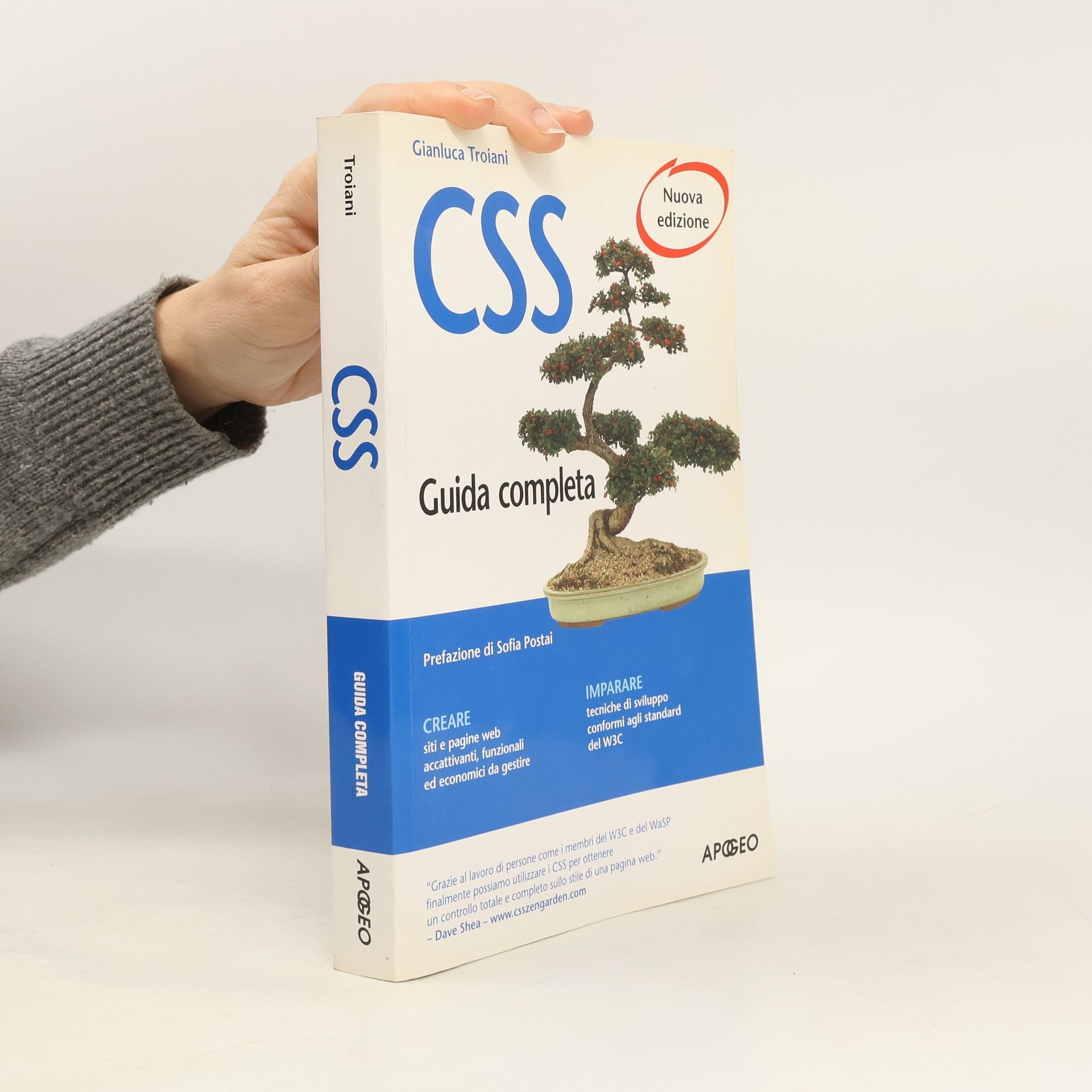 Gianluca Troiani CSS