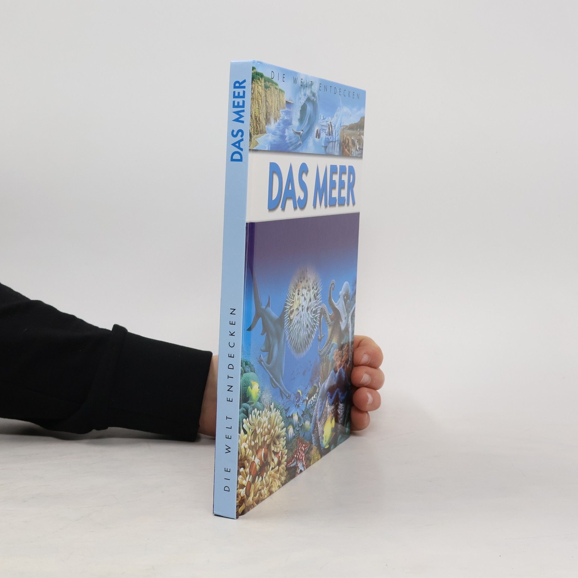 Collectif d'auteurs Das Meer