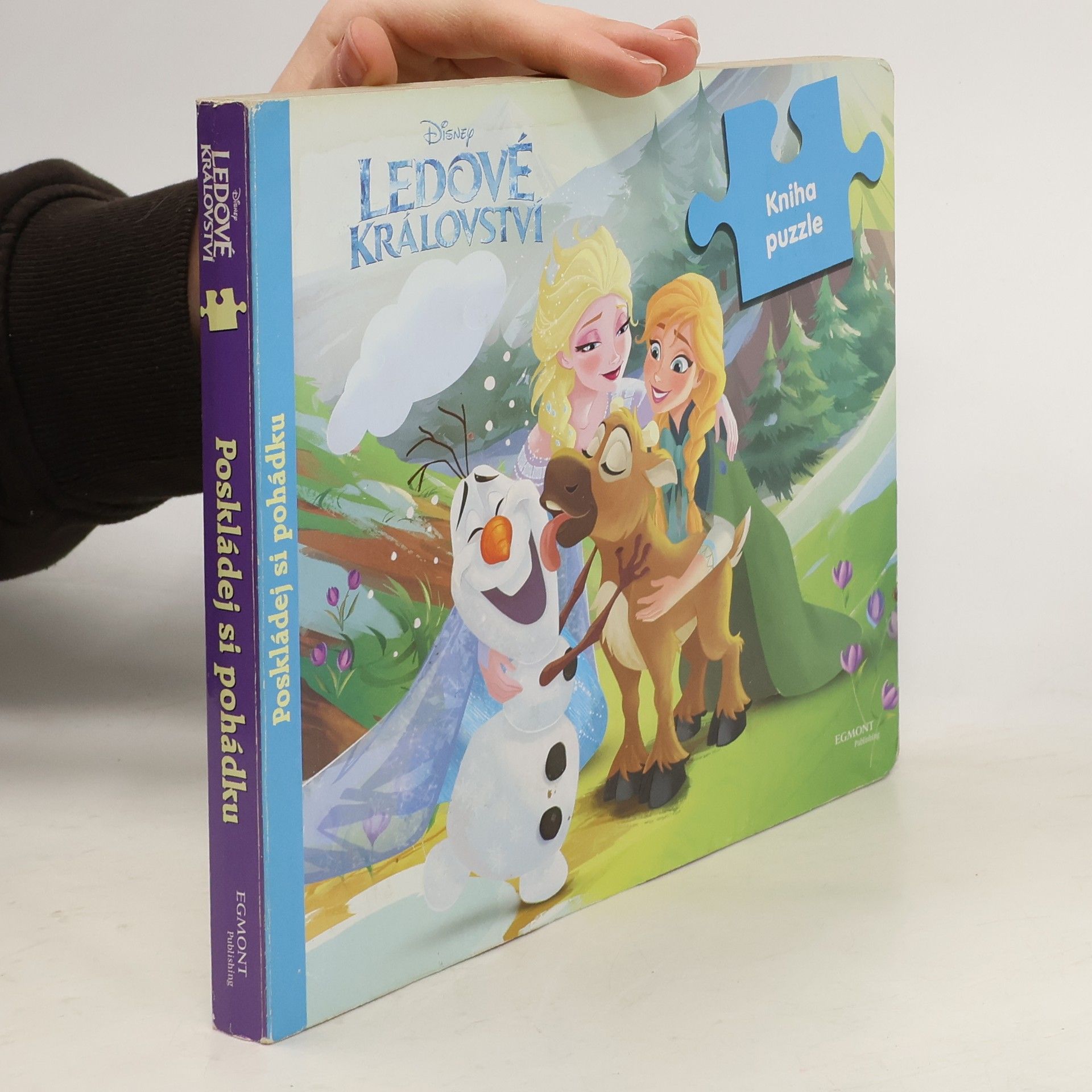 Autorenkollektiv Ledové království. Knihha puzzle