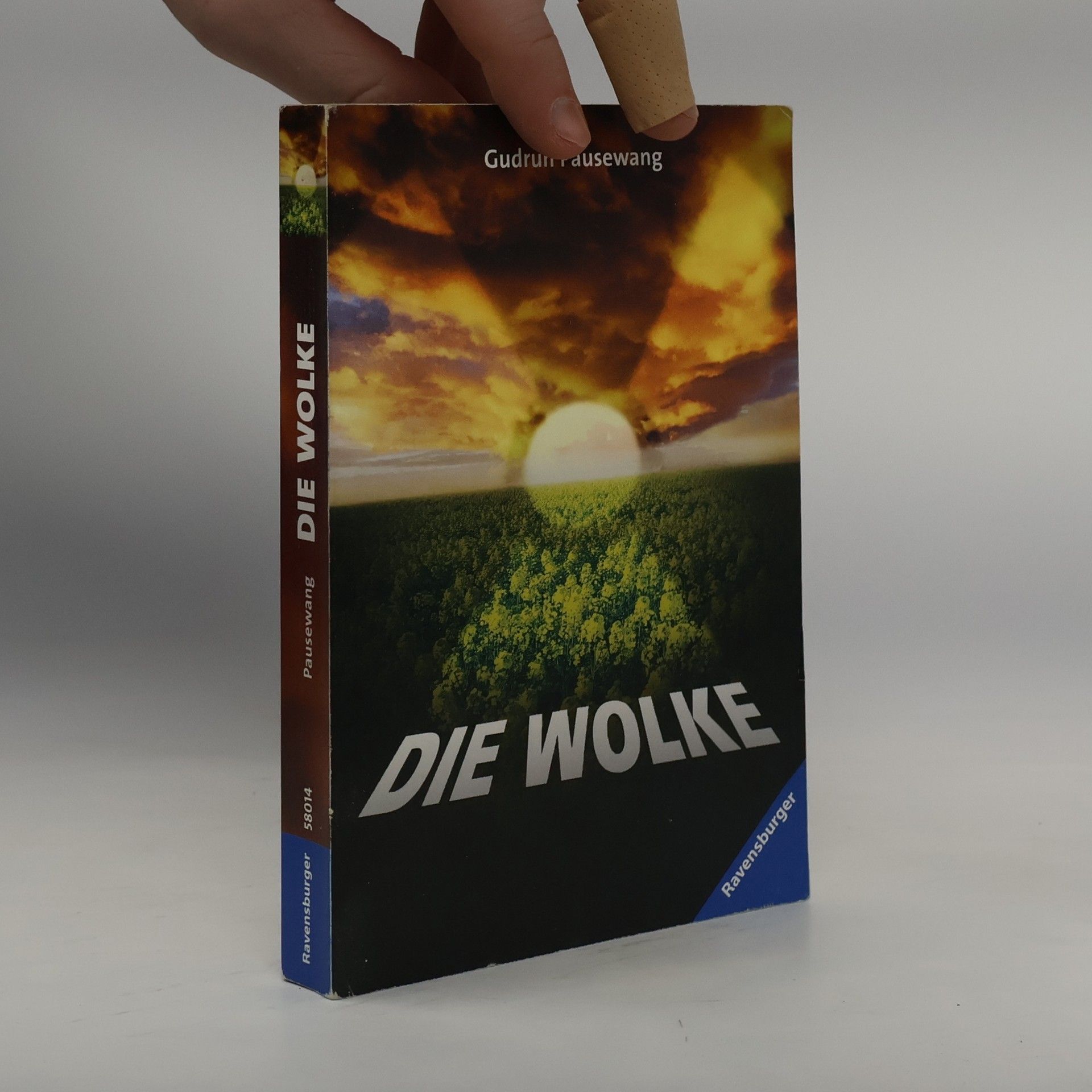 Gudrun Pausenwang Die Wolke