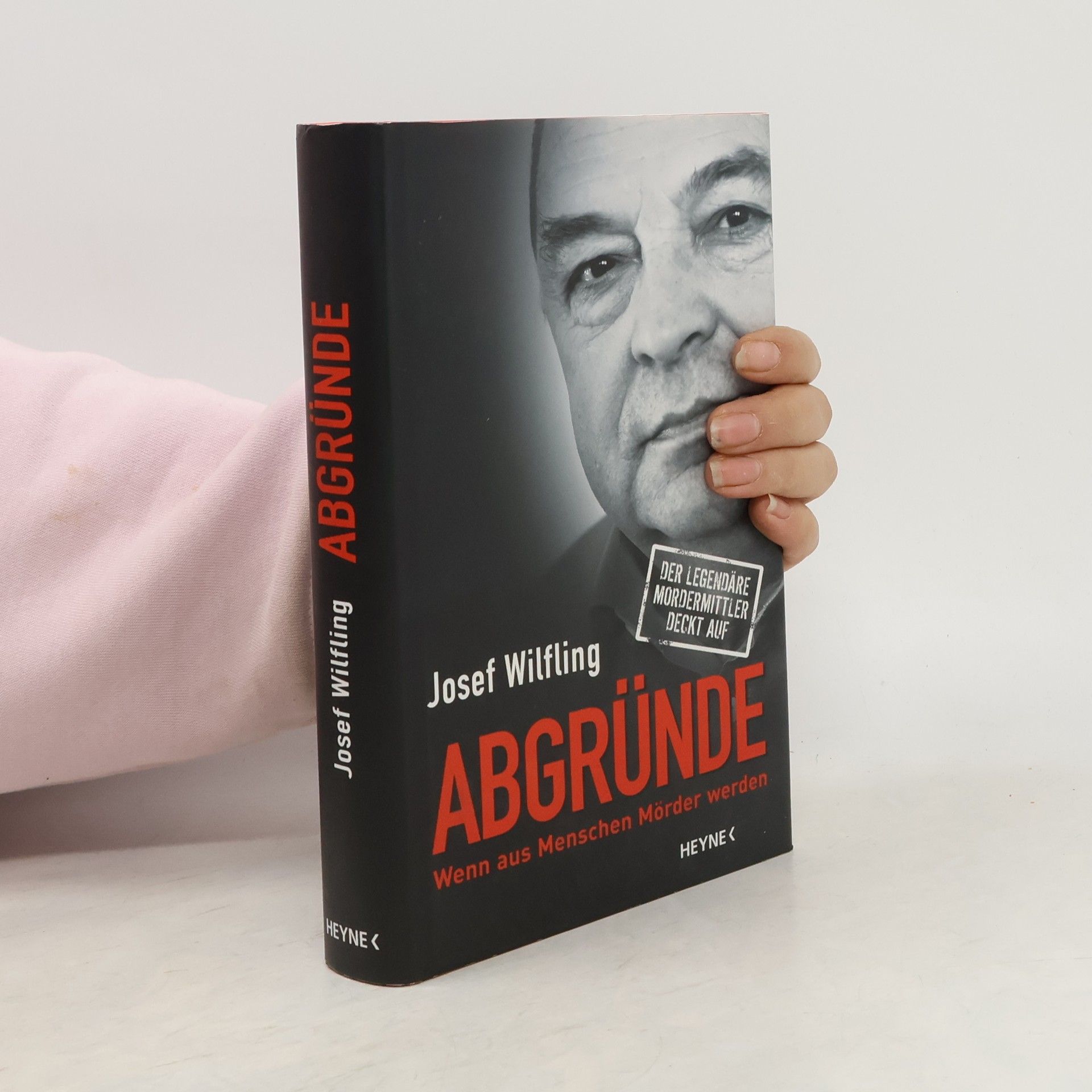 Josef Wilfling Abgründe