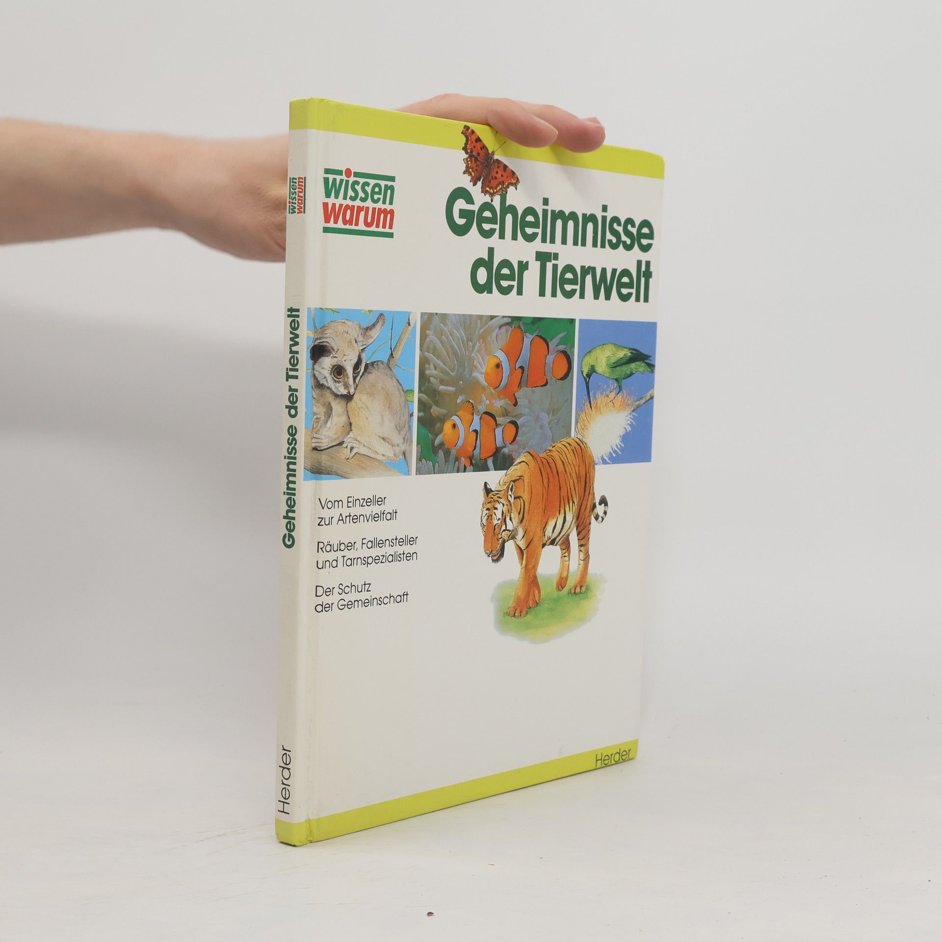 Pollock Steve Geheimnisse der Tierwelt