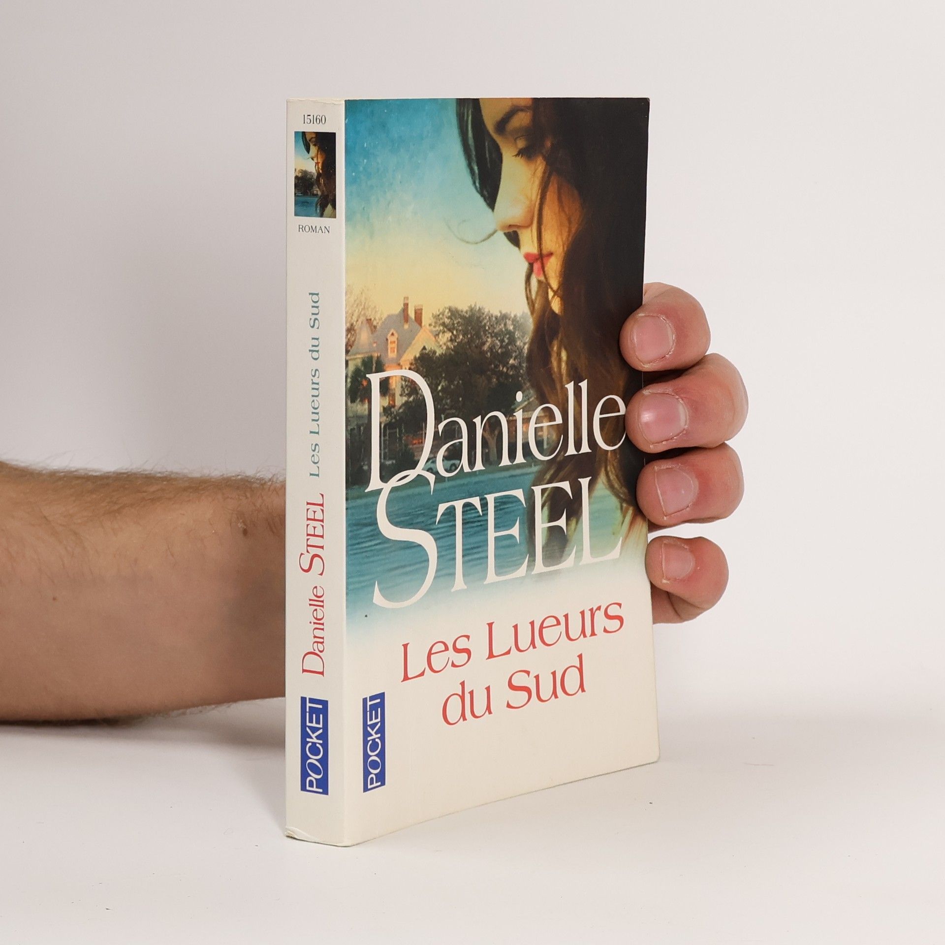 Danielle Steel Les lueurs du sud