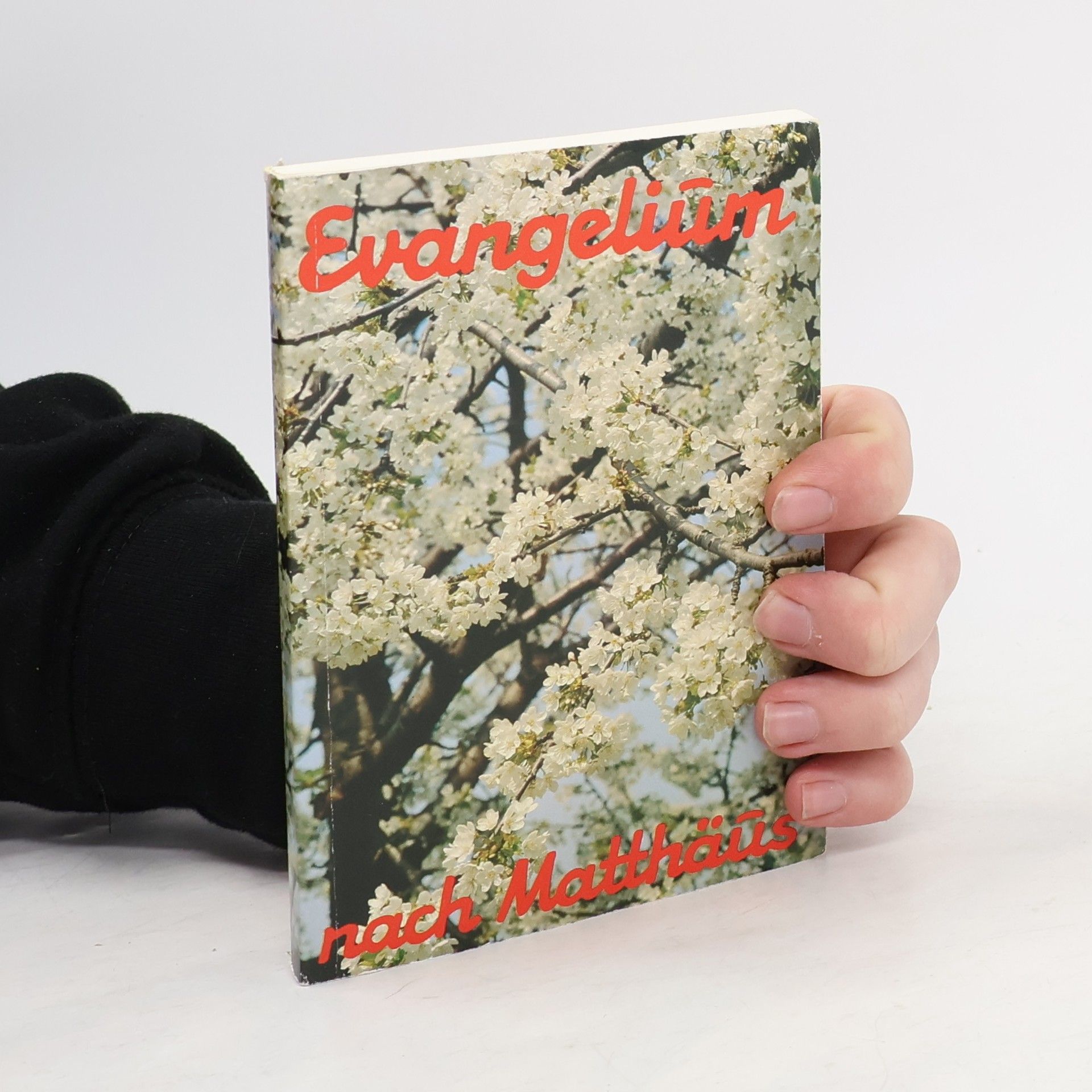 AA.VV. Evangelium nach Matthäus