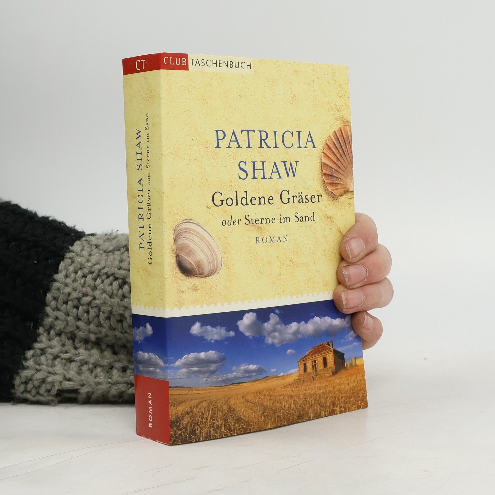 Goldene Gräser oder Sterne im Sand