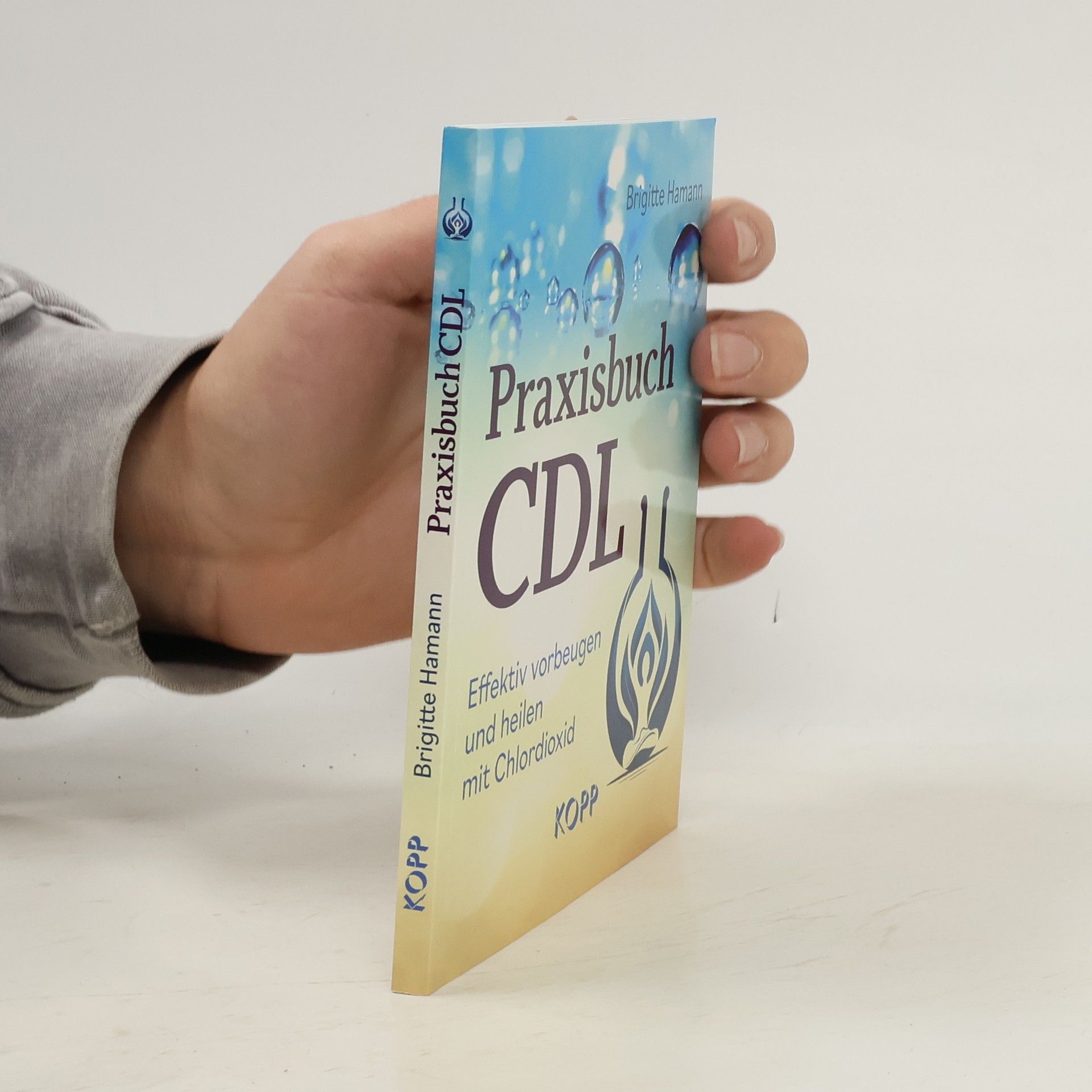 Brigitte Hamann Praxisbuch CDL