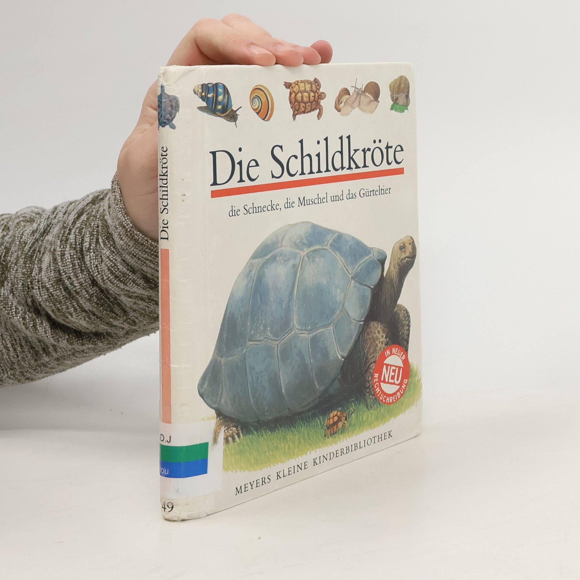 Gilbert Houbre Die Schildkröte, die Schnecke, die Muschel und das Gürteltier