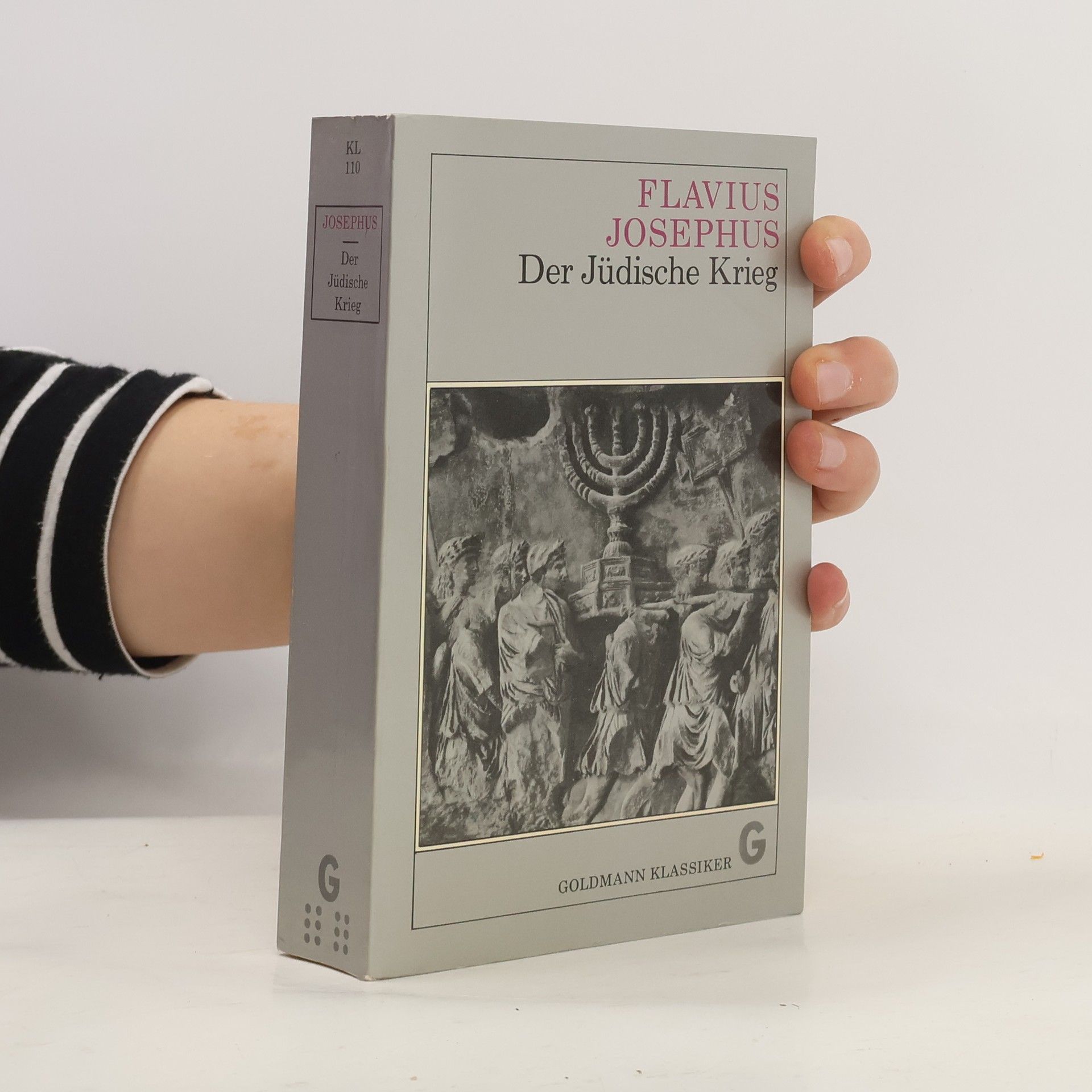 Josephus Der jüdische Krieg