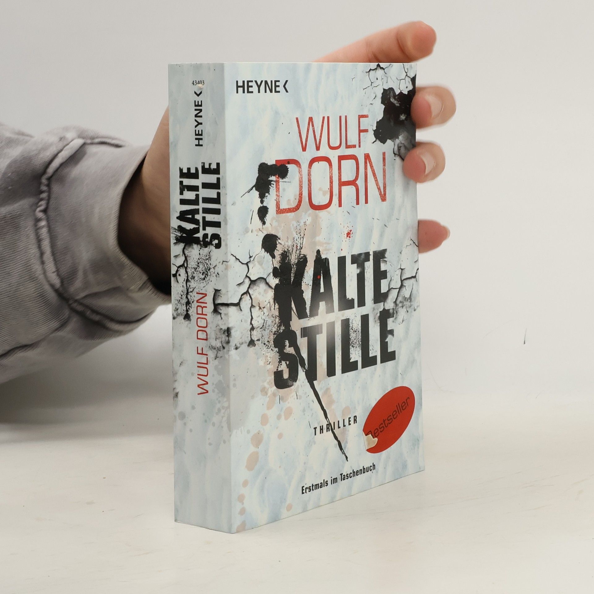 Wulf Dorn Kalte Stille