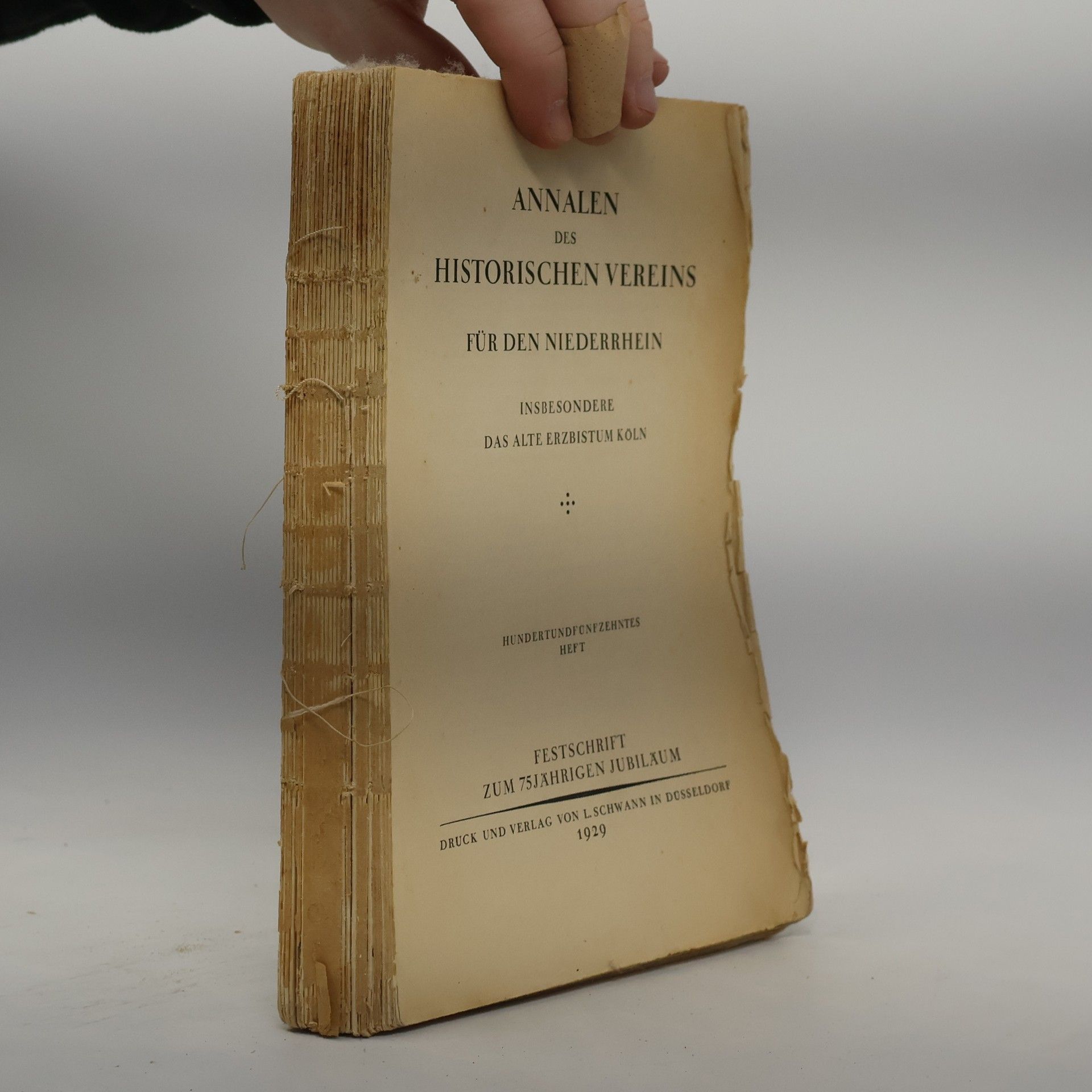 Kolektív autorov Annalen des historischen Vereins für den Niederrhein