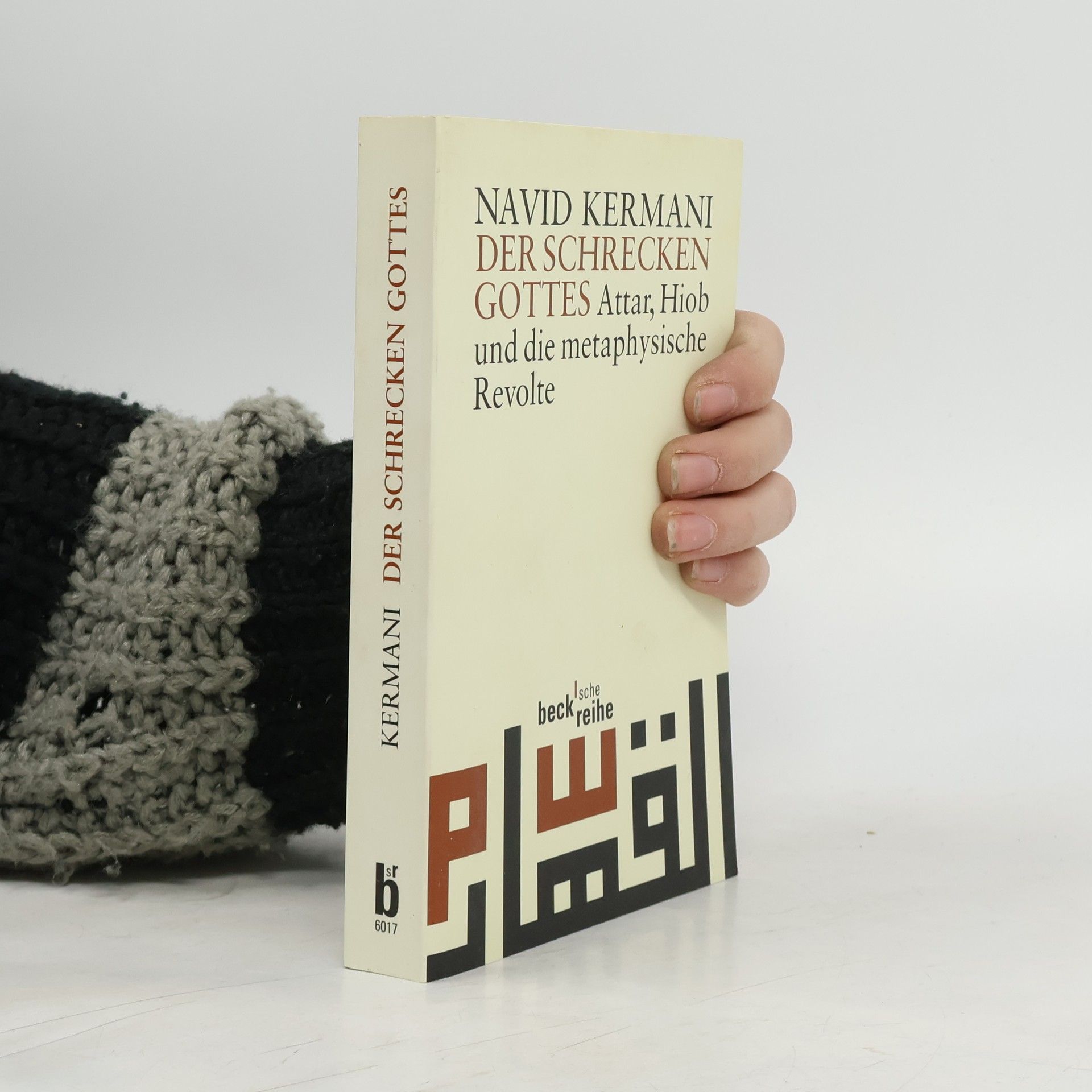 Navid Kermani Der Schrecken Gottes