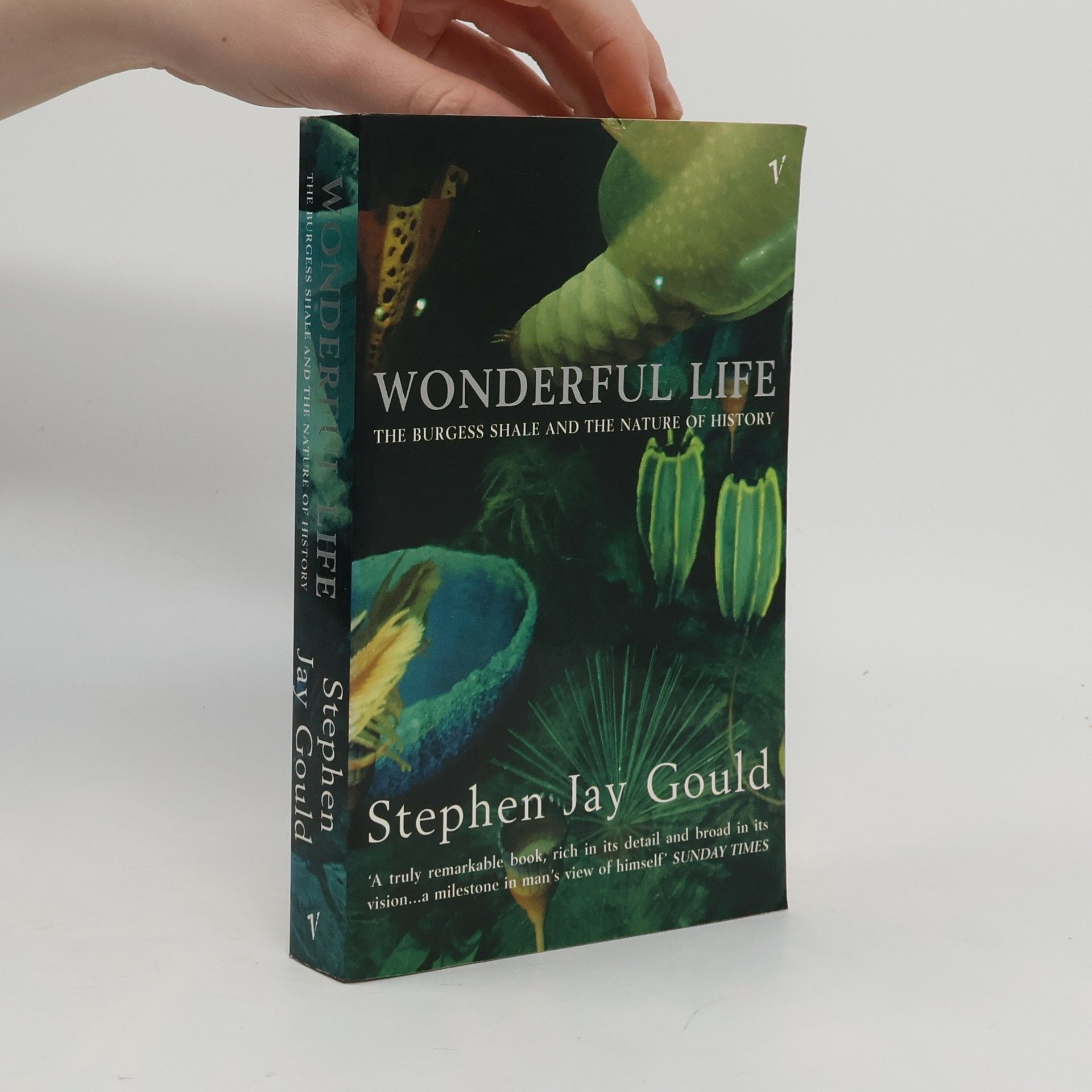 Stephen Jay Gould Wonderful Life