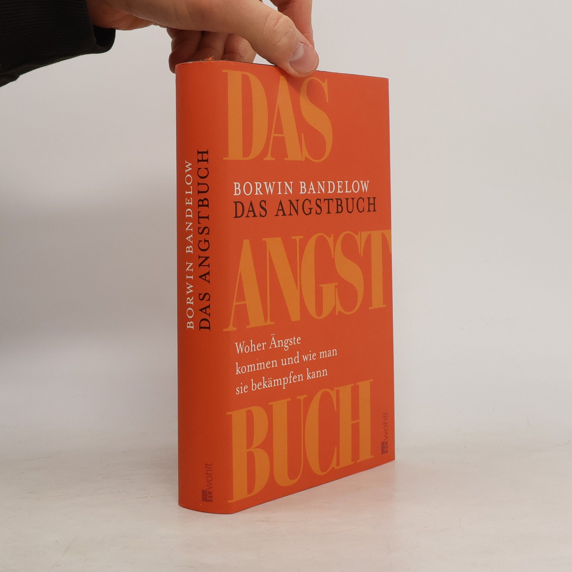 Borwin Bandelow Das Angstbuch