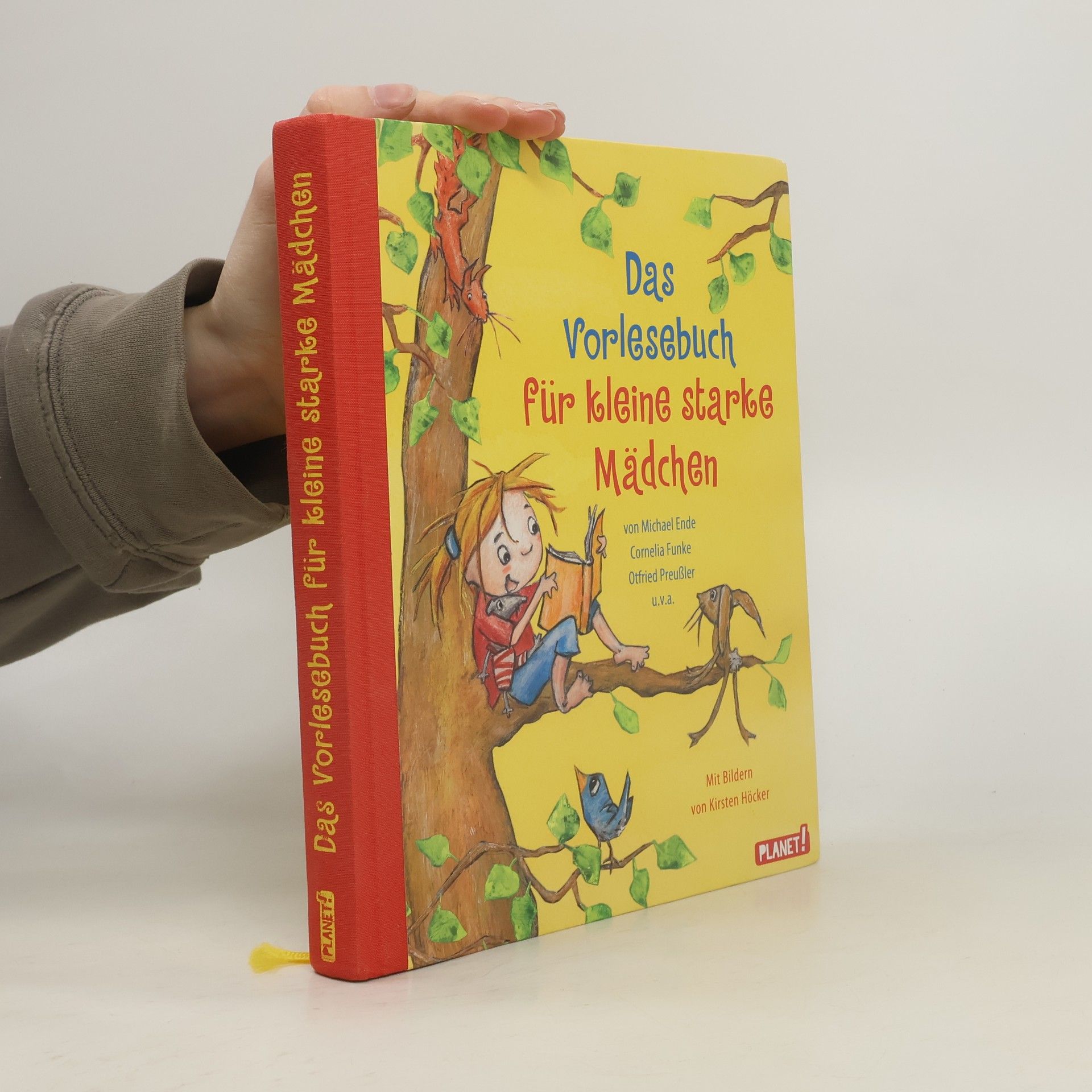 Kirsten Höcker Das Vorlesebuch für kleine starke Mädchen