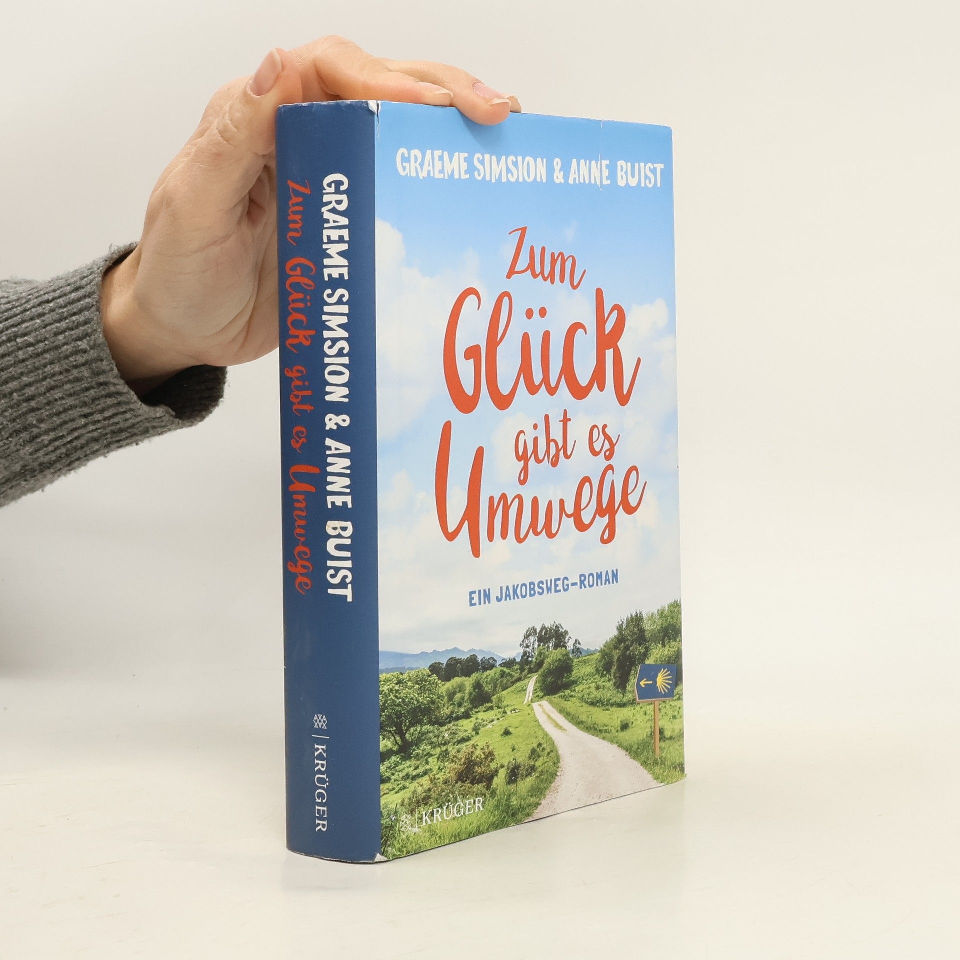 Graeme C. Simsion Zum Glück gibt es Umwege