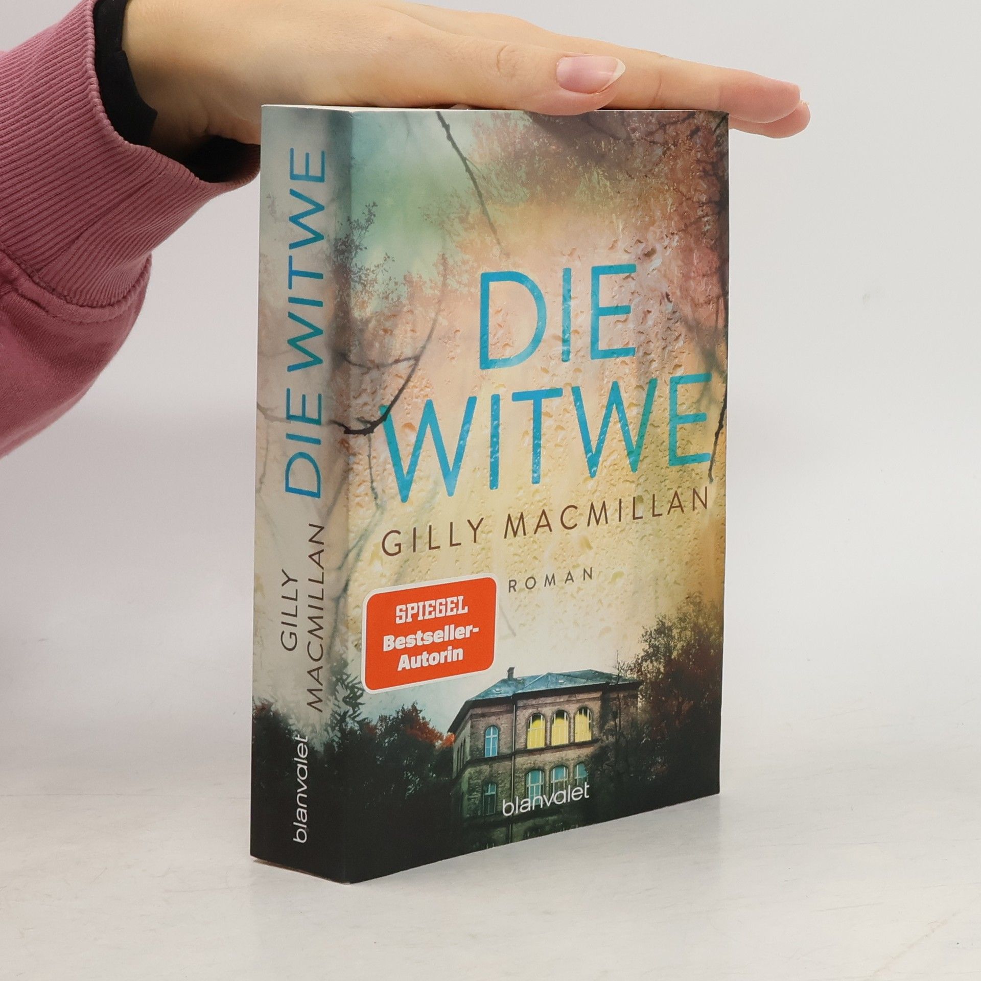 Gilly Macmillan Die Witwe