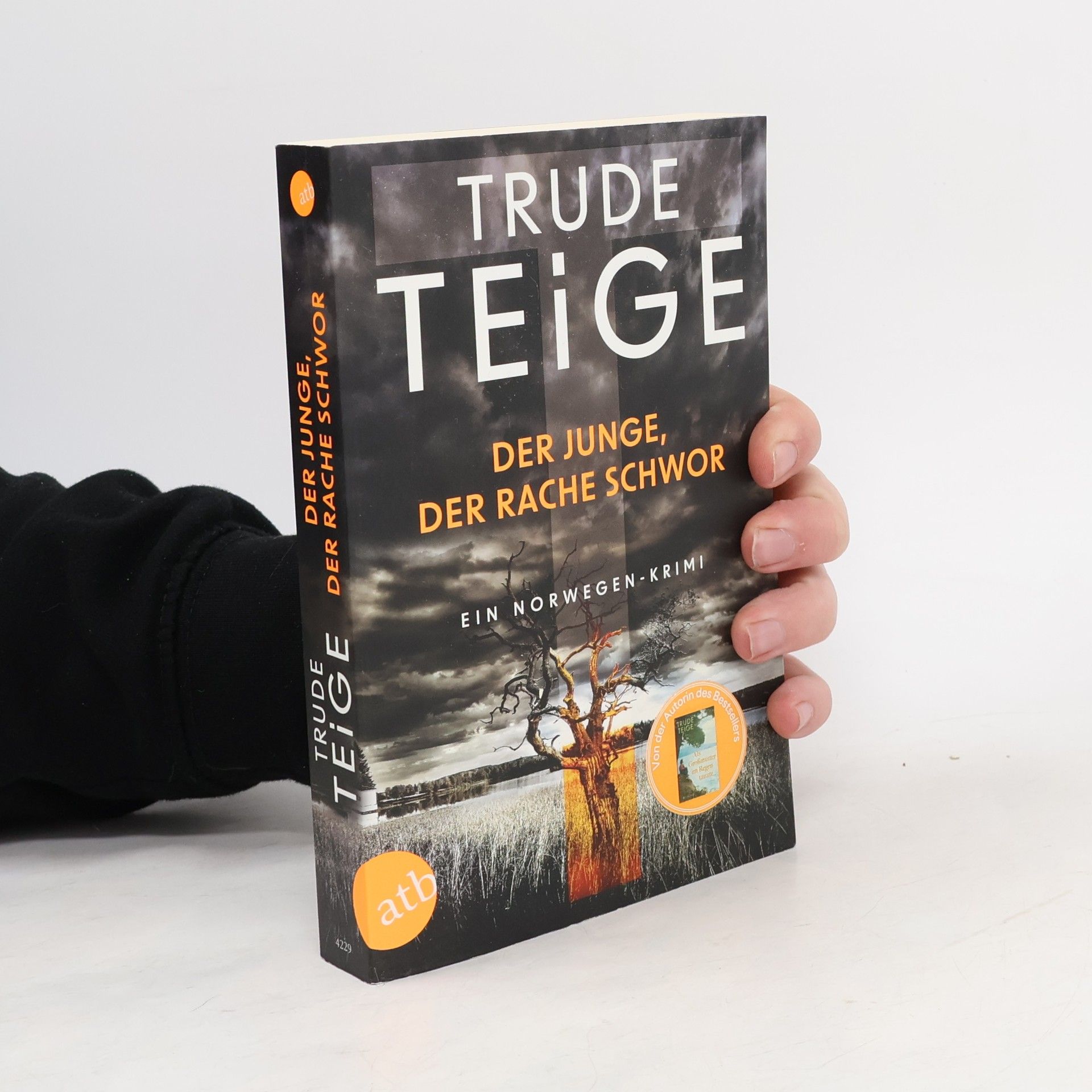Trude Teige Der Junge, der Rache schwor