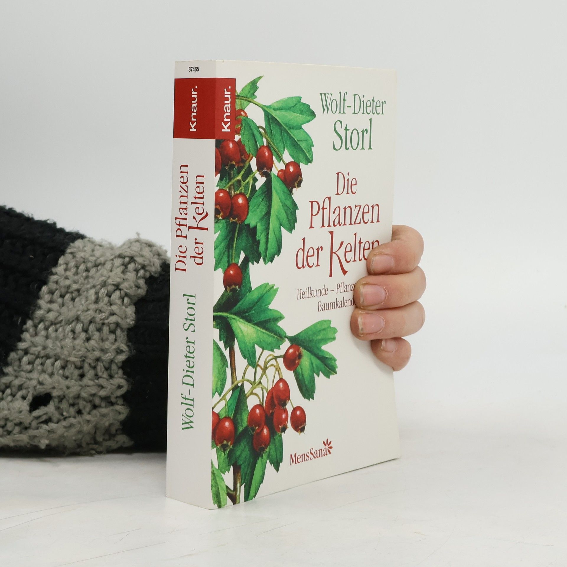 Wolf Dieter Storl Die Pflanzen der Kelten