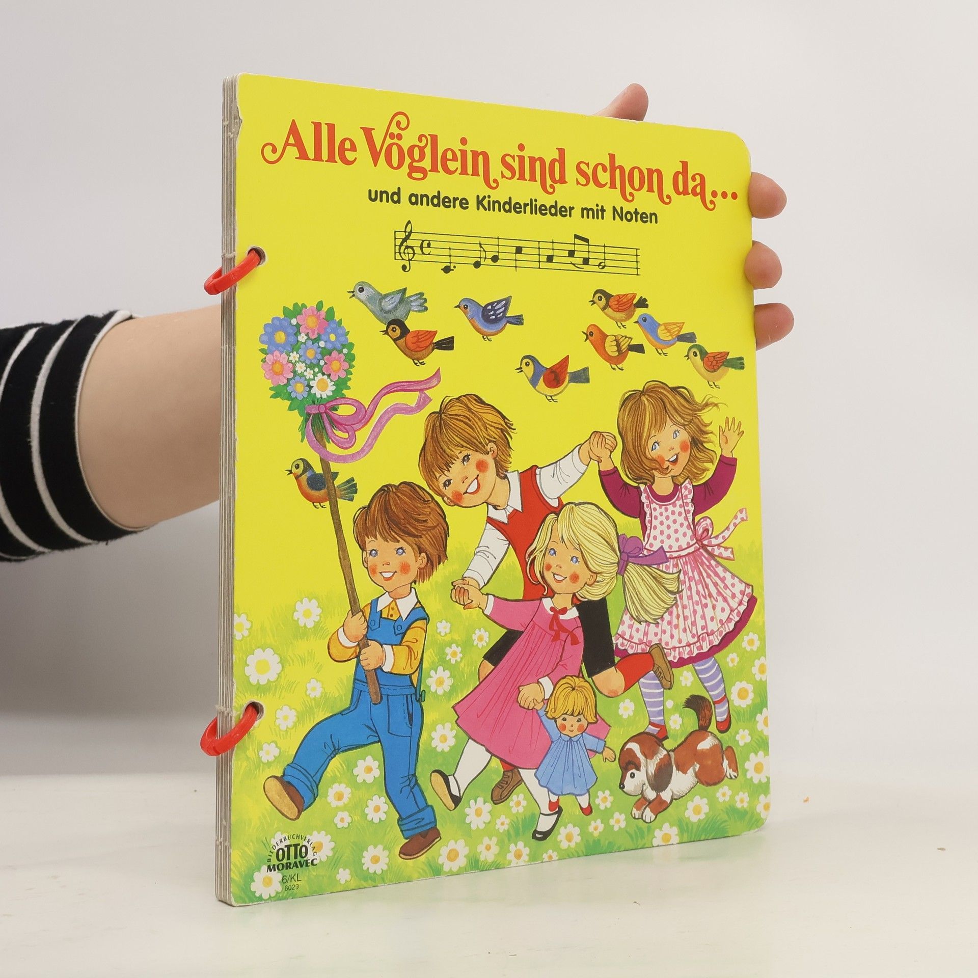 Autorenkollektiv Alle Vöglein sind schon da. Und andere Kinderleider mit Noten