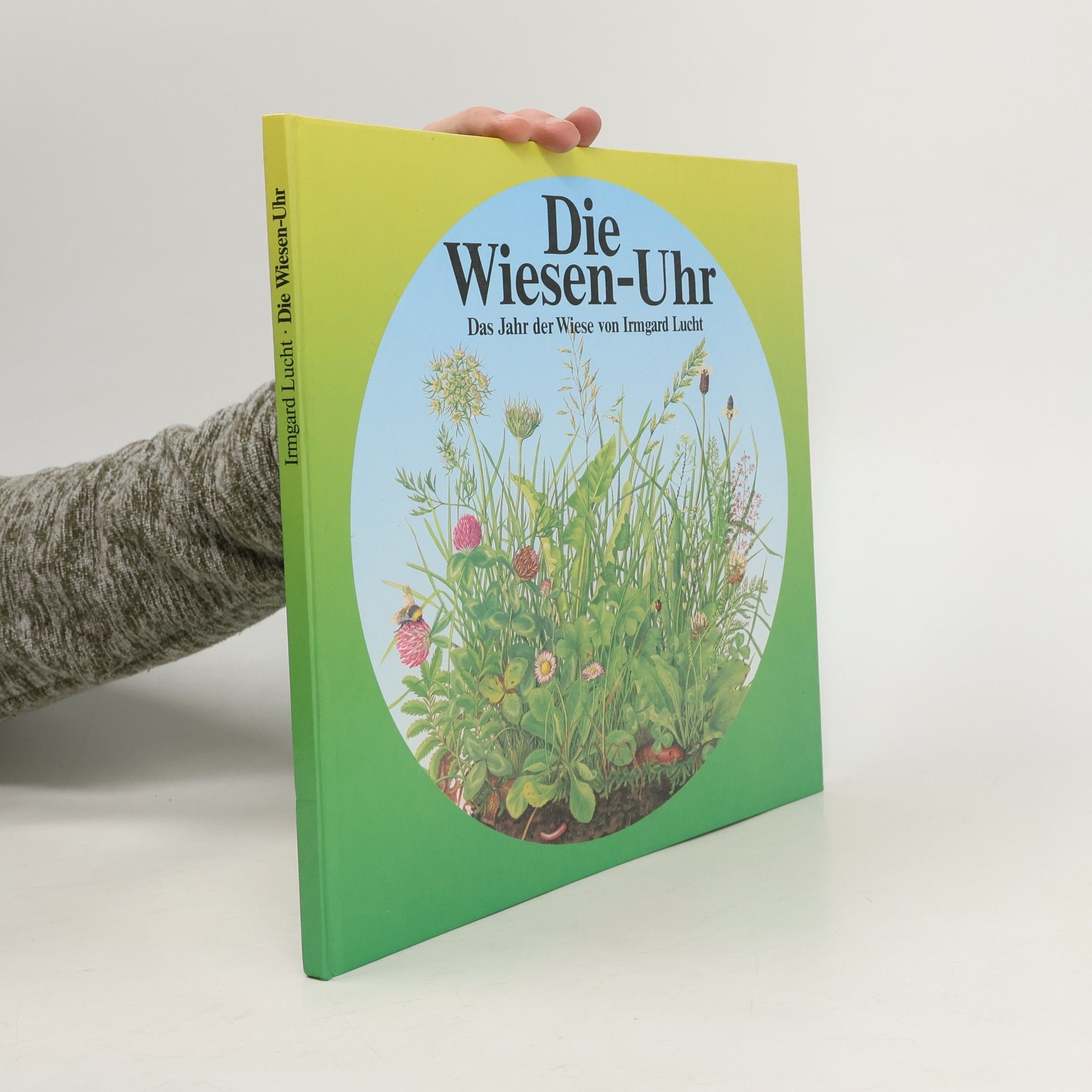 Irmgard Lucht Die Wiesen-Uhr