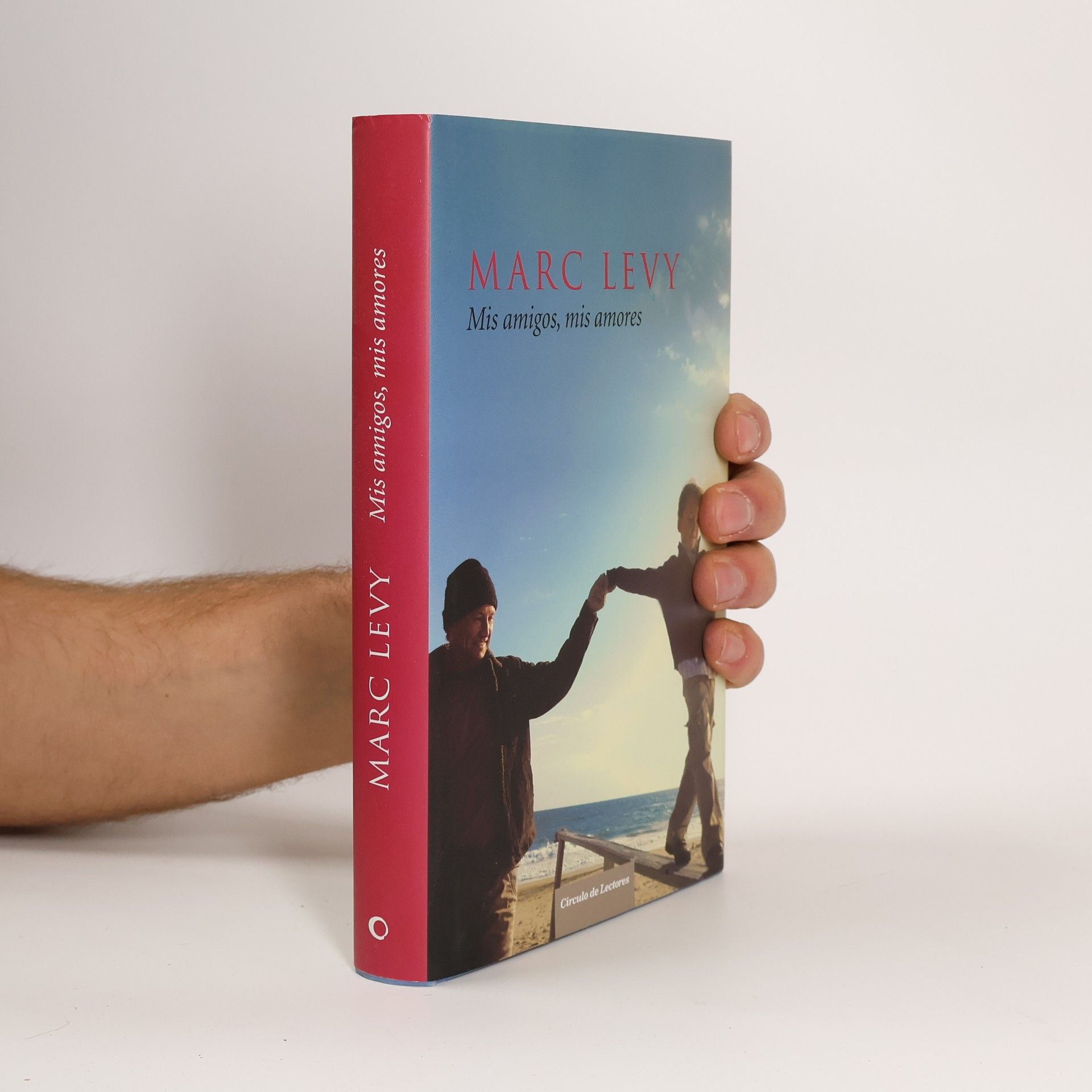 Marc Lévy Mis amigos, mis amores