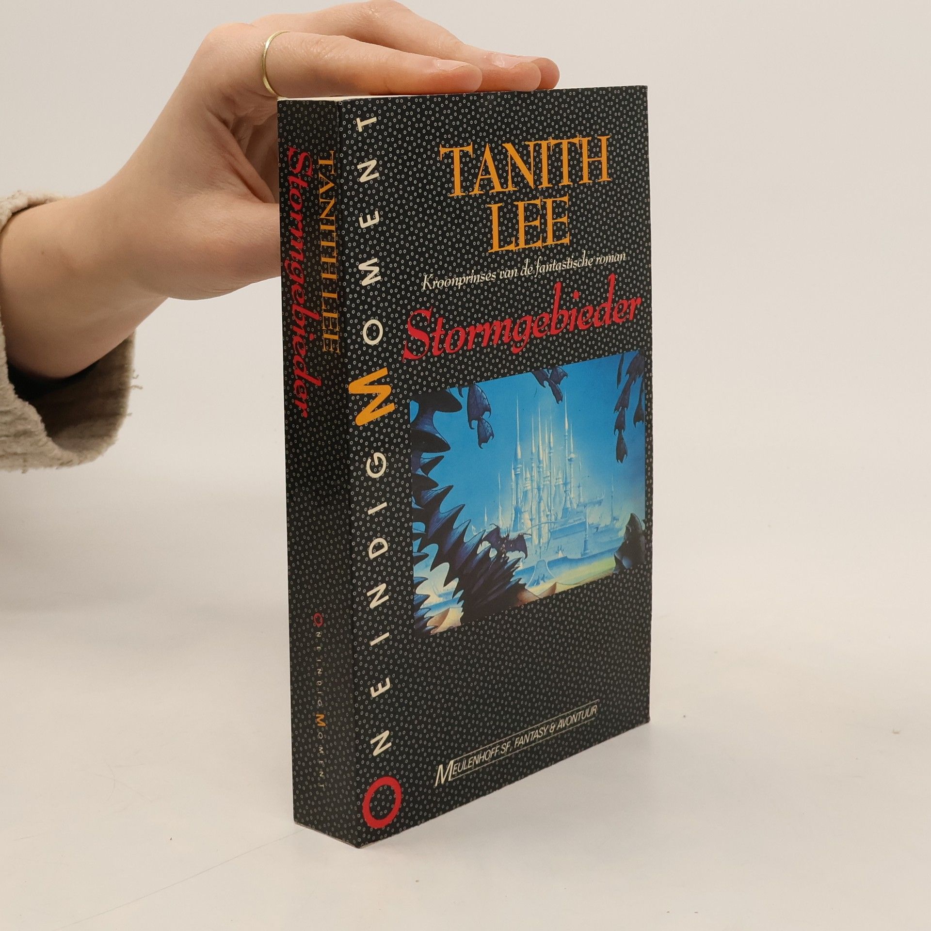 Tanith Lee Stormgebieder