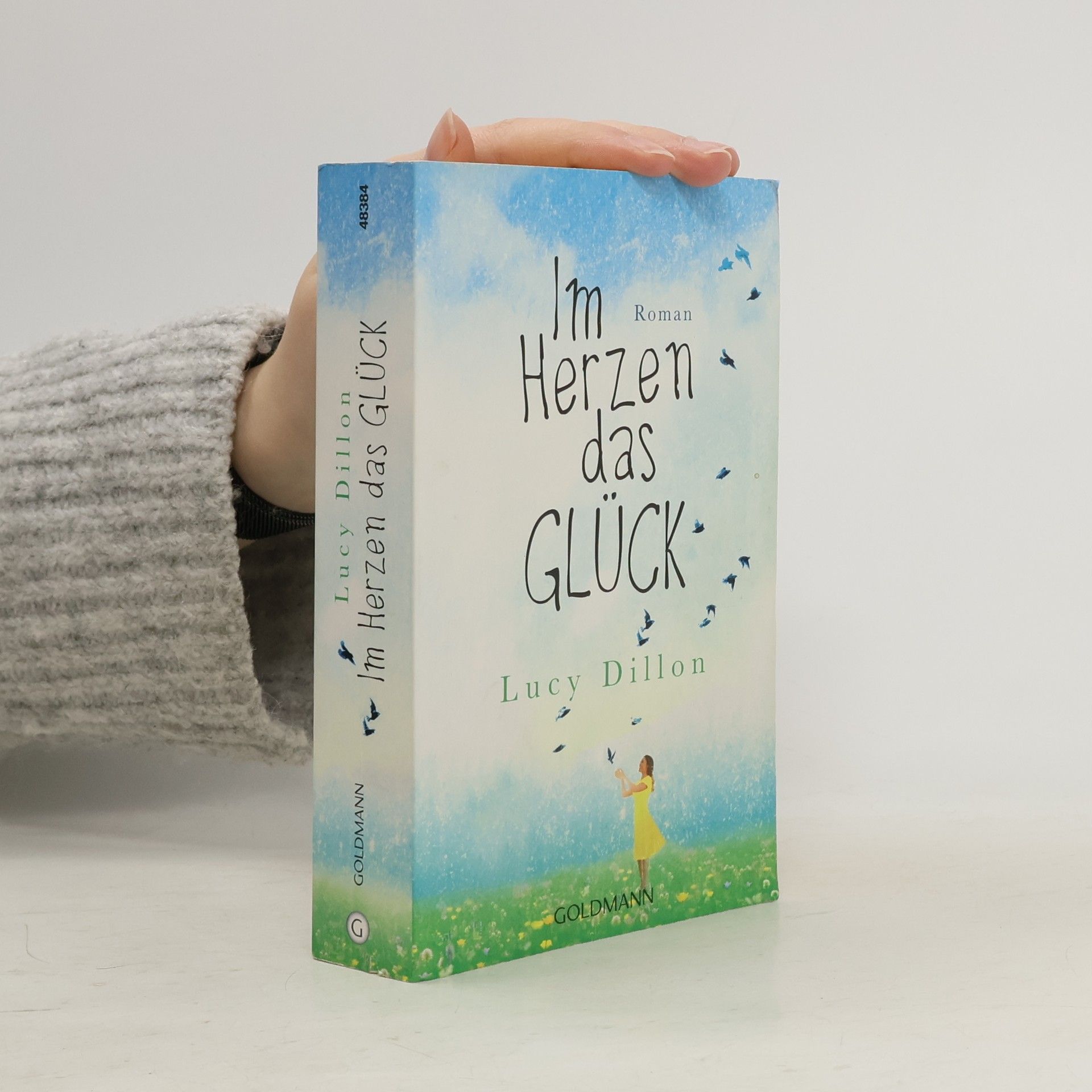 Lucy Dillon Im Herzen das Glück