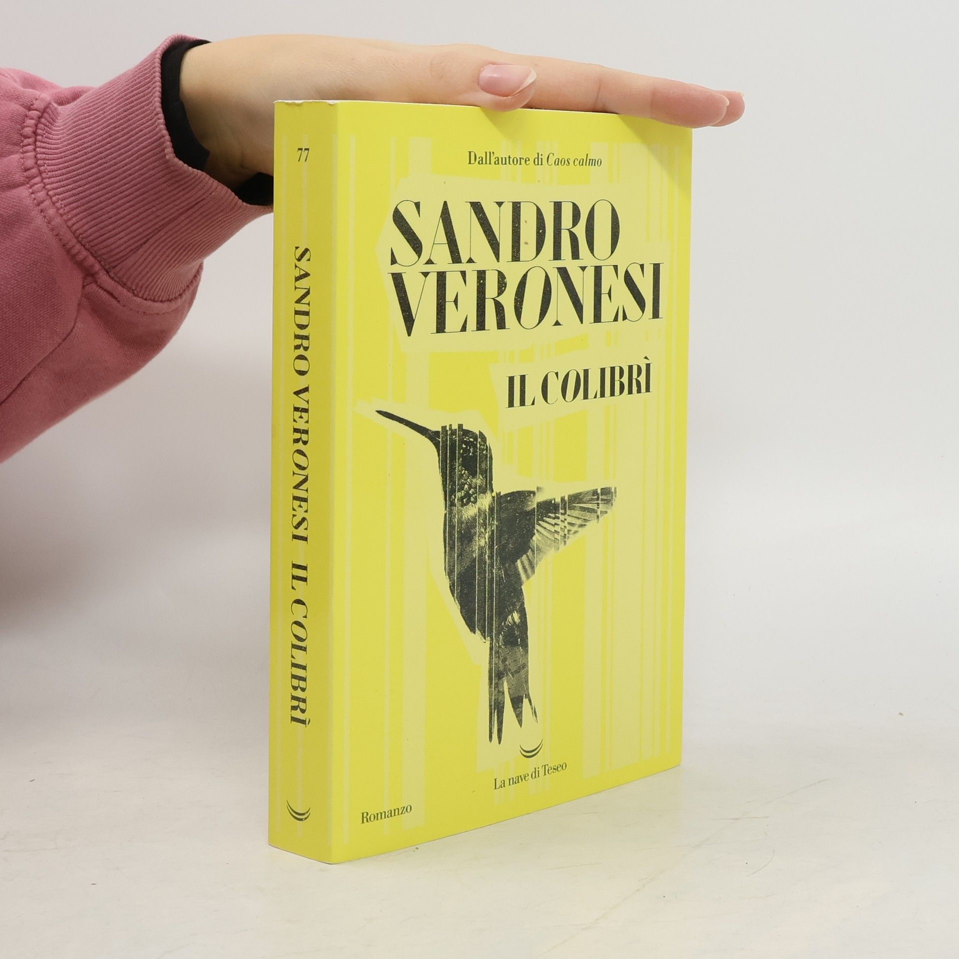 Sandro Veronesi Il colibrì