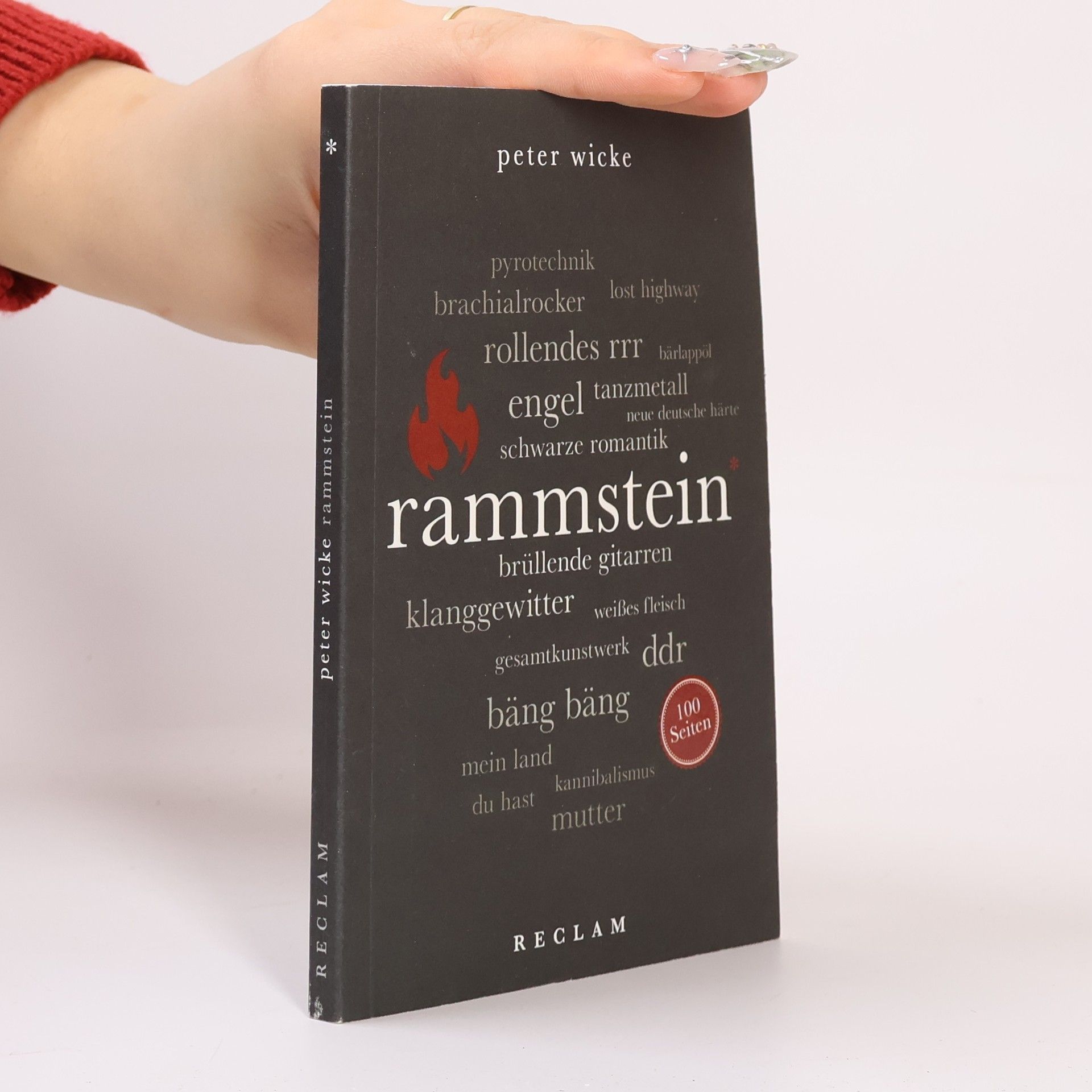 Peter Wicke Rammstein, 100 Seiten
