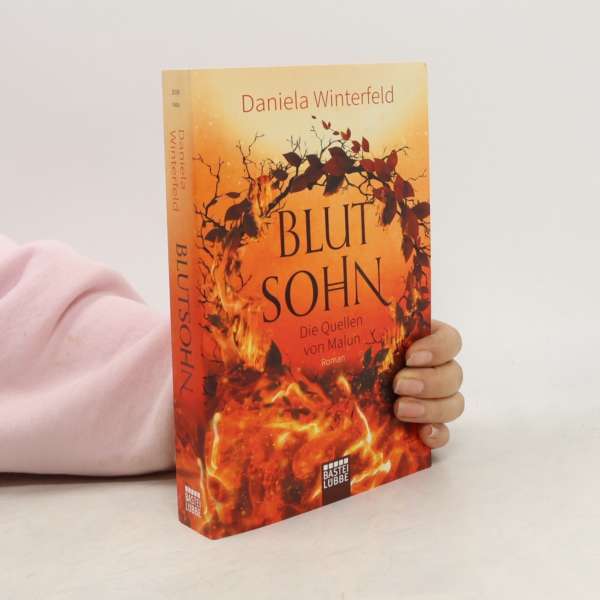 Die Quellen von Malun 02. Blutsohn