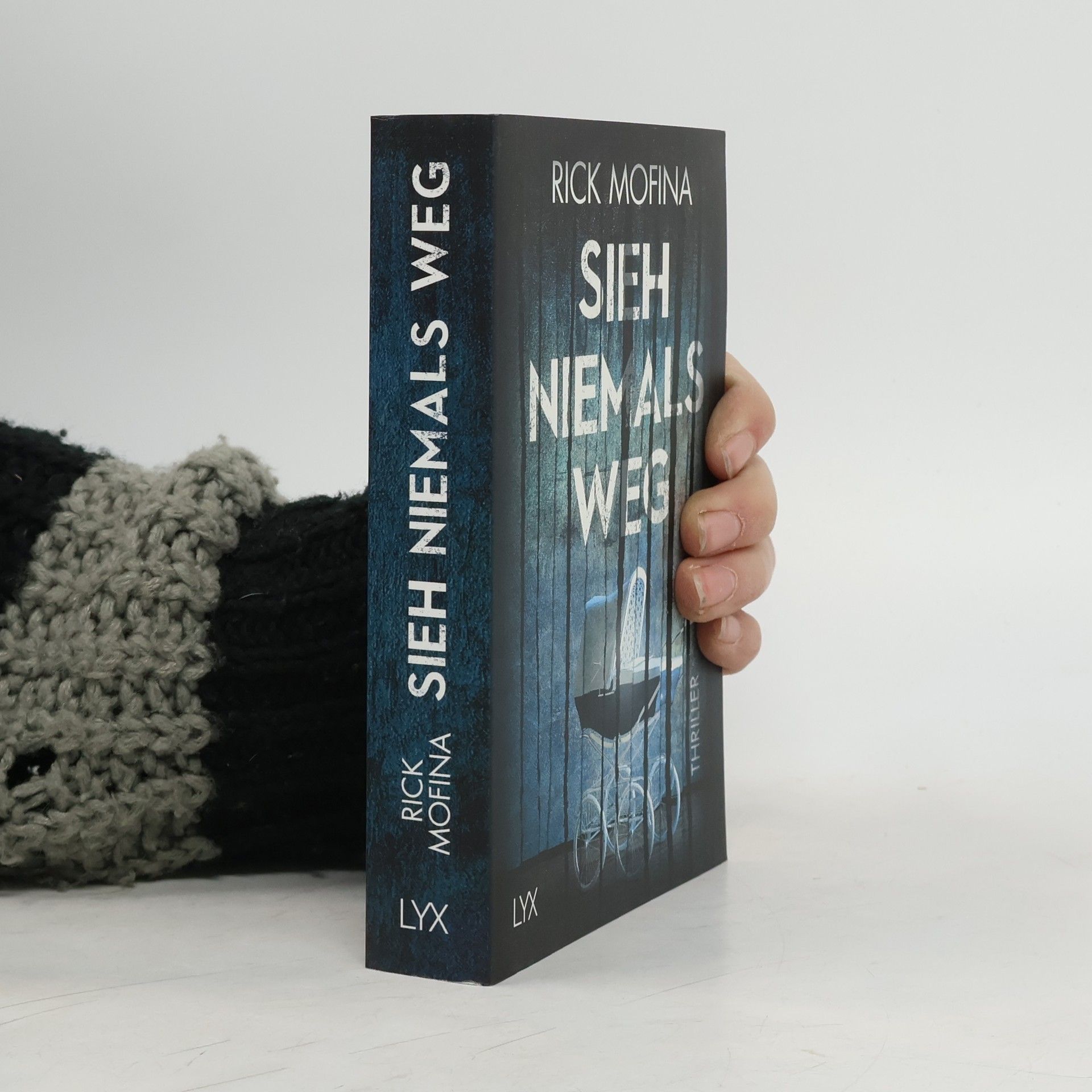 Rick Mofina Sieh niemals weg