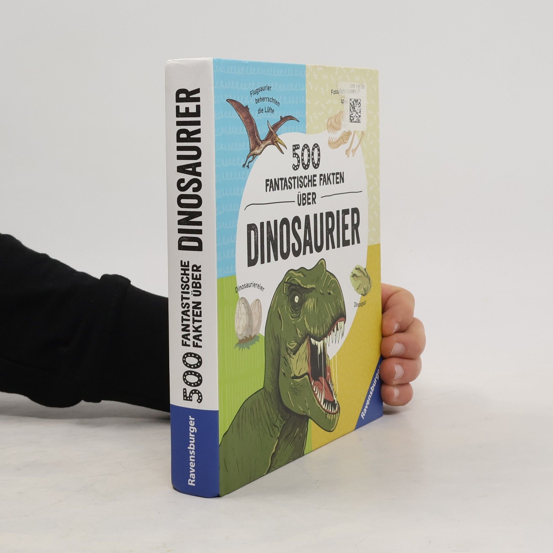 Anne Rooney 500 fantastische Fakten über Dinosaurier
