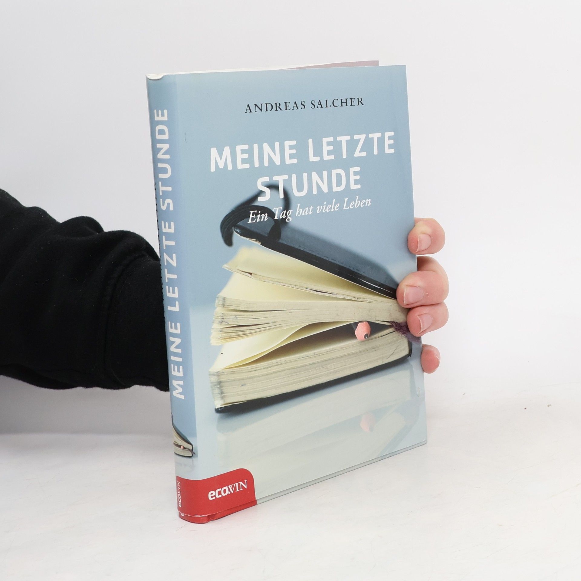 Andreas Salcher Meine letzte Stunde
