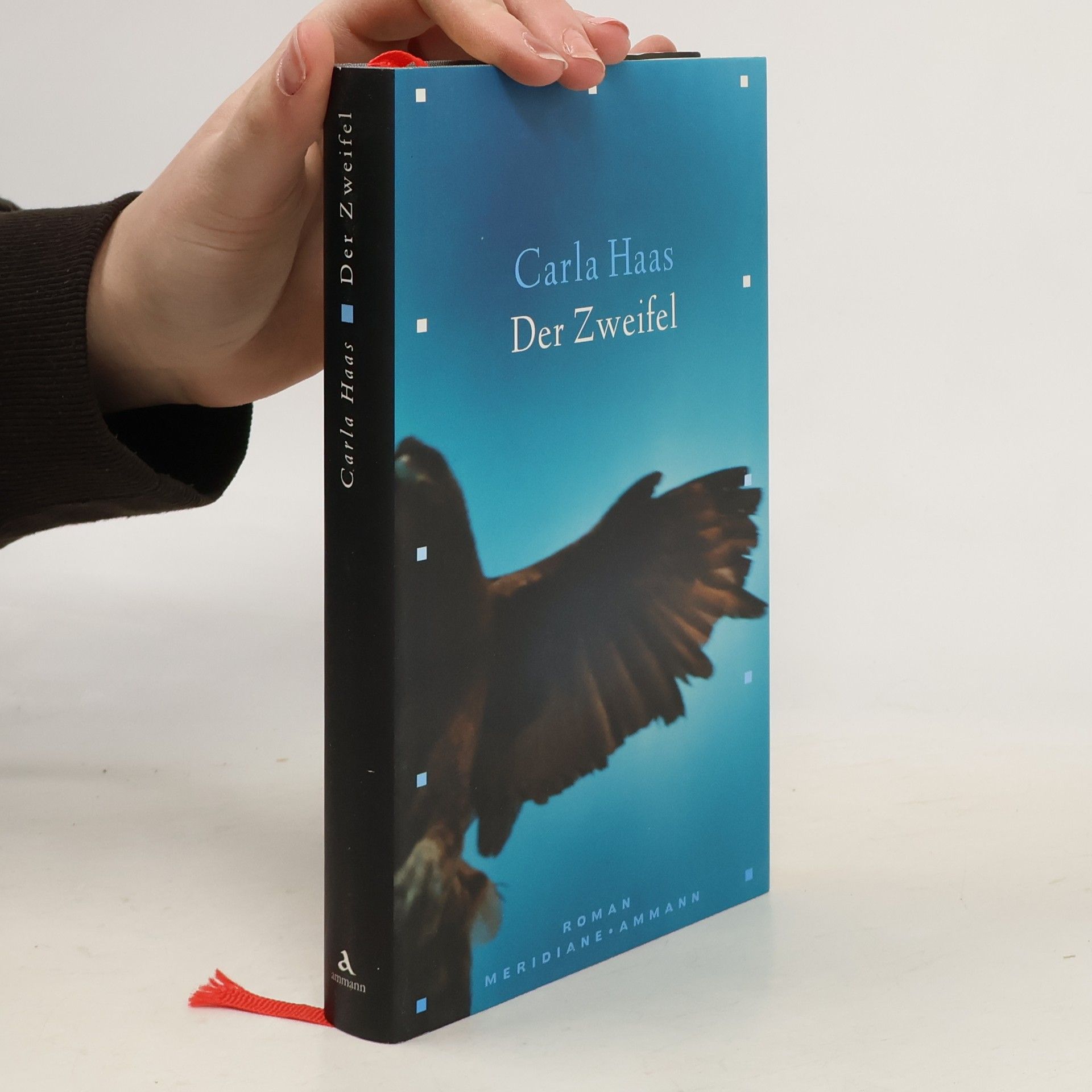 Meridiane: Der Zweifel