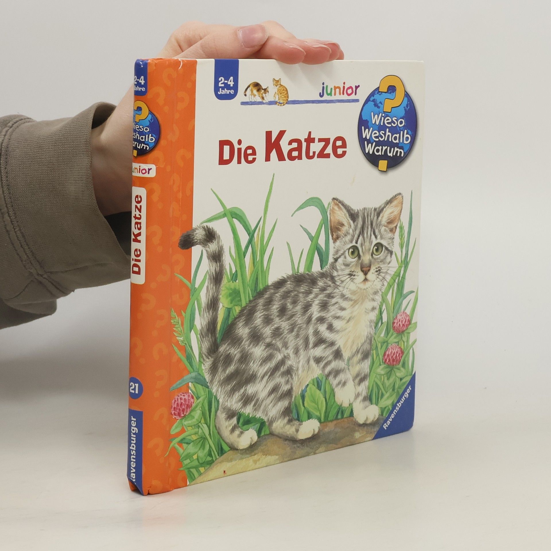 Ursula Weller Die Katze